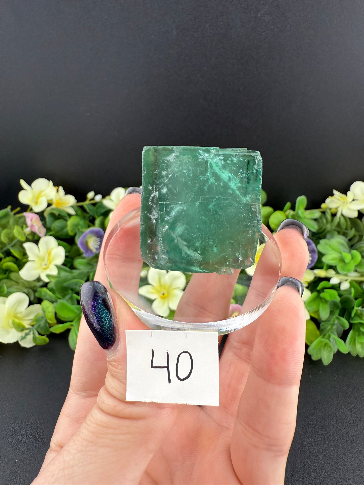 Daylight Fluorite Floaters on Stands