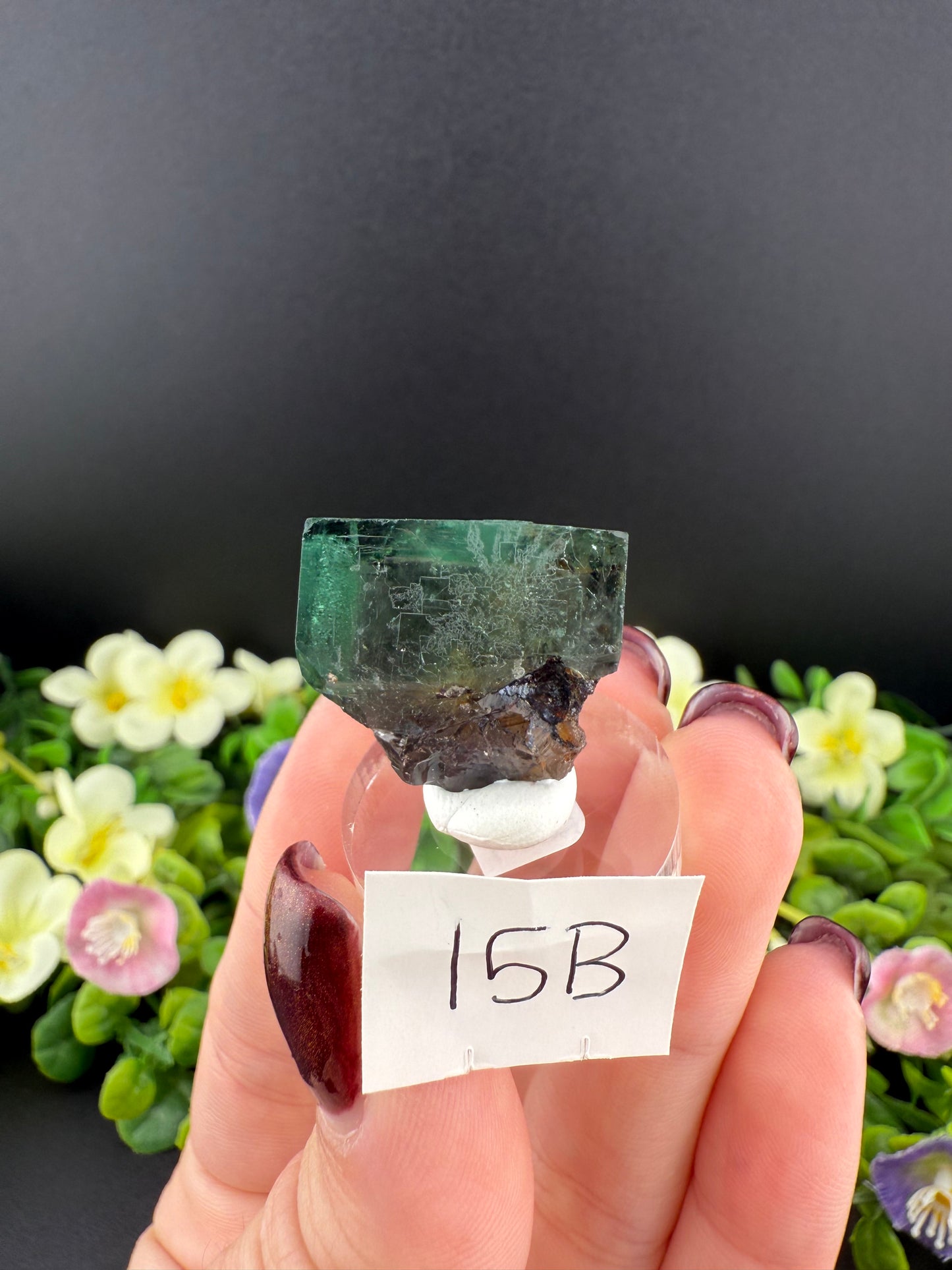 Rogerley Fluorites (Mixed Pockets)