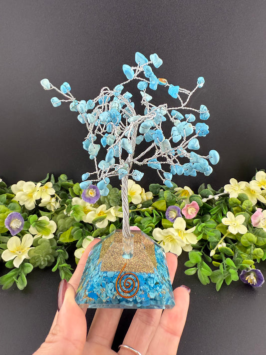 Turquoise Money Tree