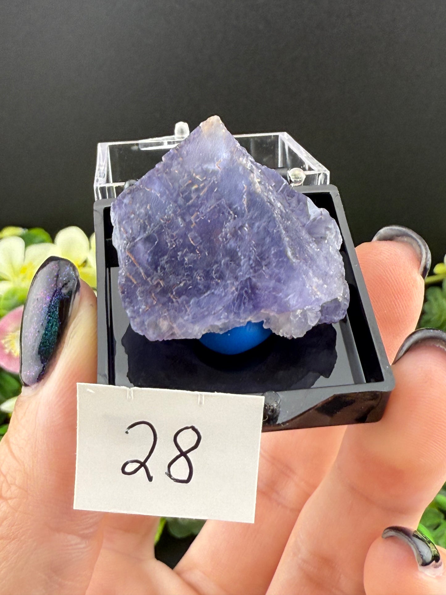 Blue Petroleum Fluorites