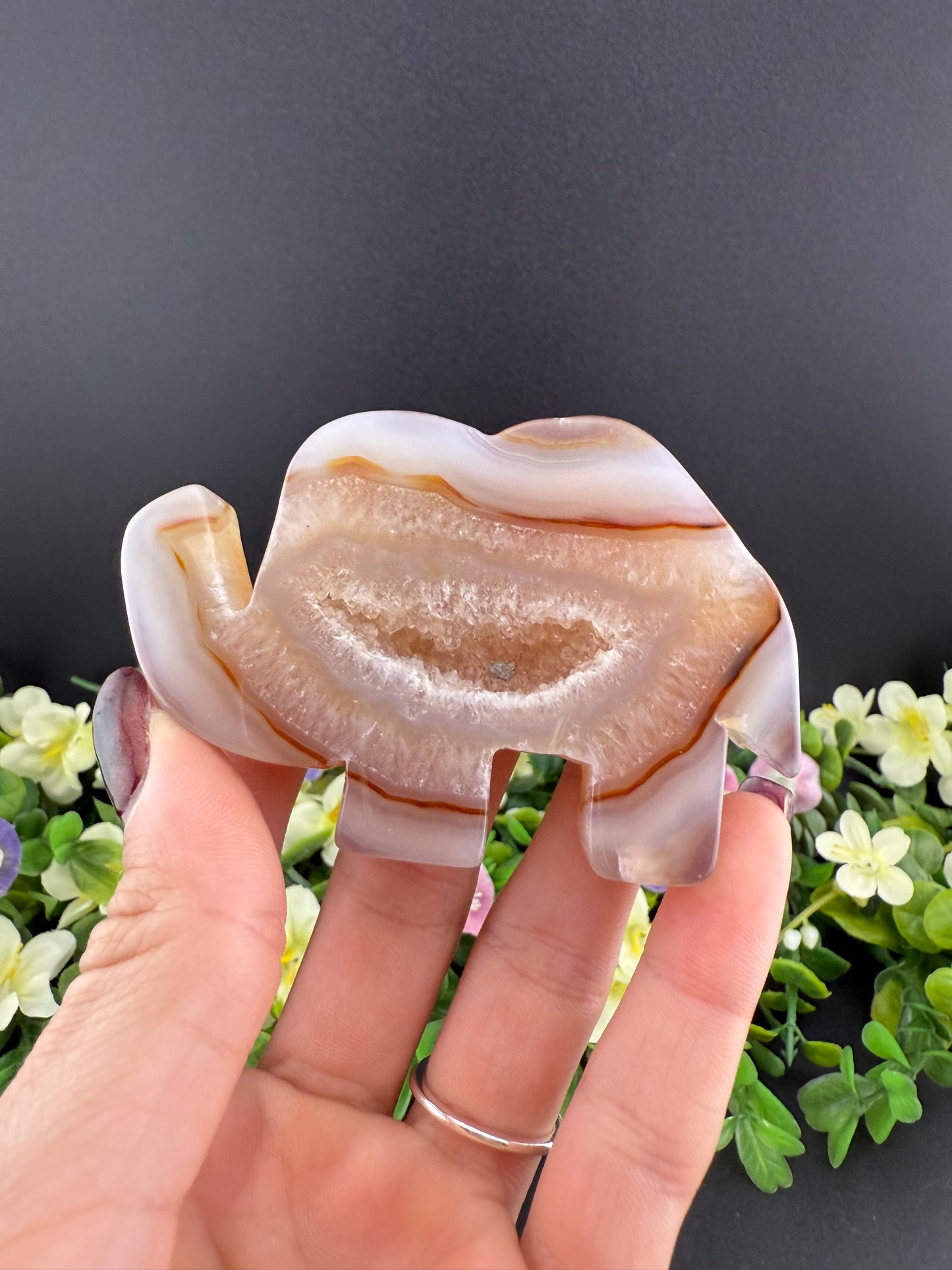 Agate Elephant Slice