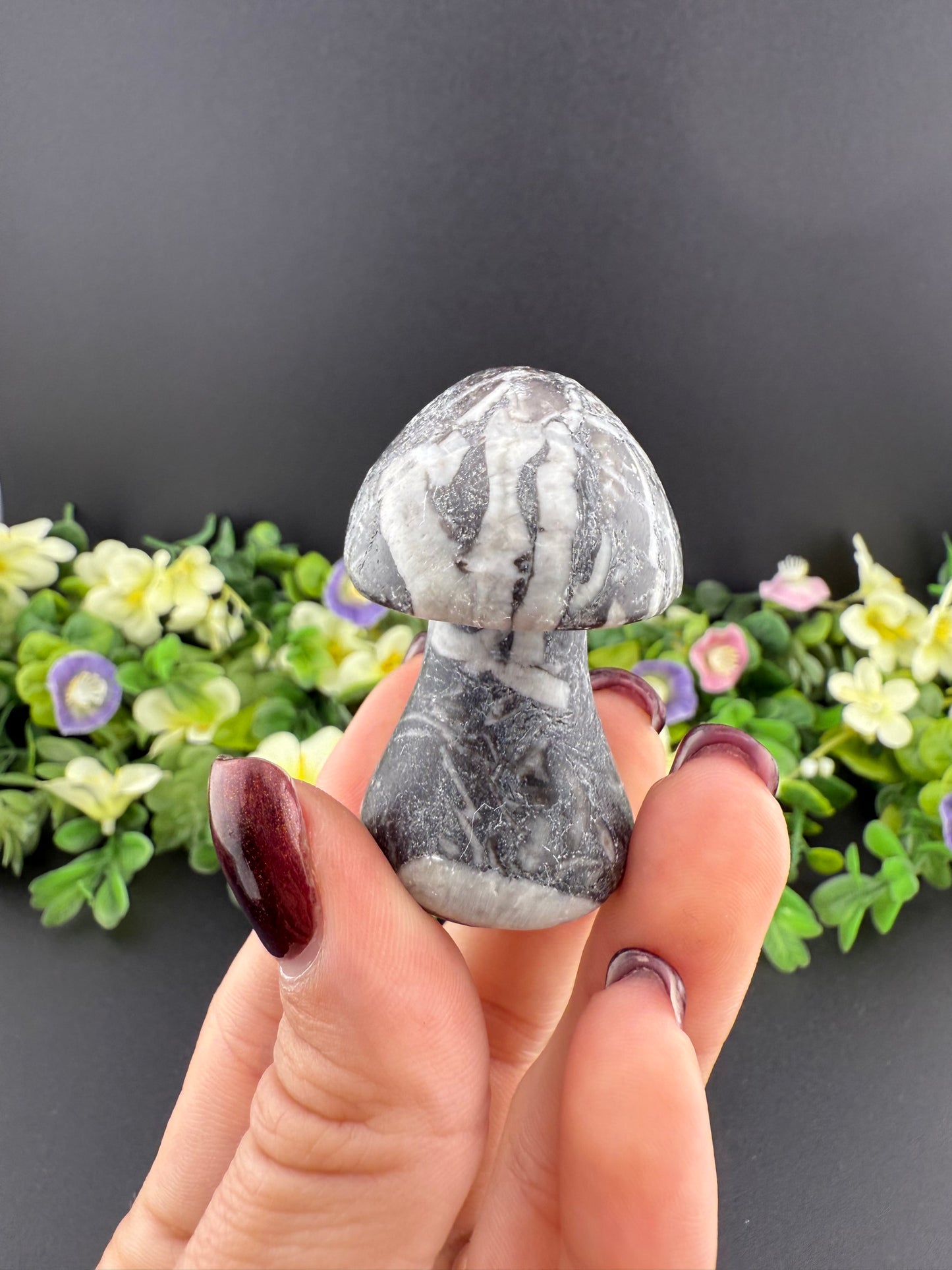 Zebra Jasper Mushroom
