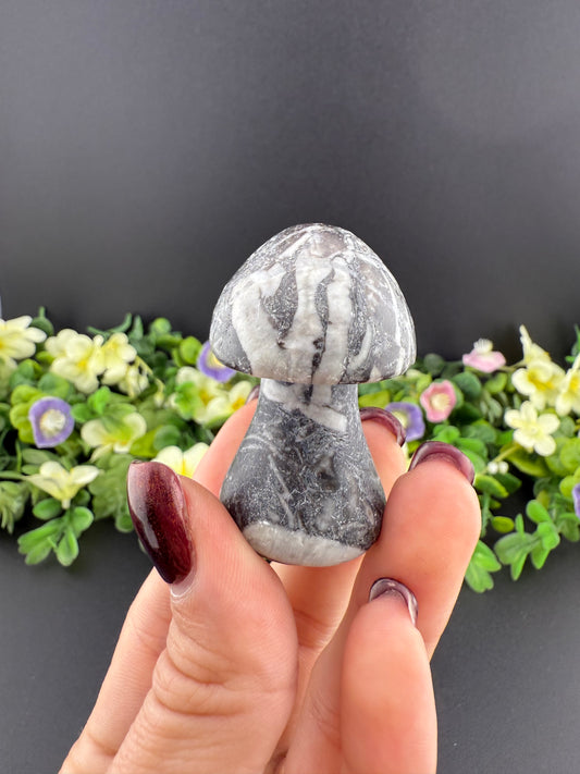 Zebra Jasper Mushroom