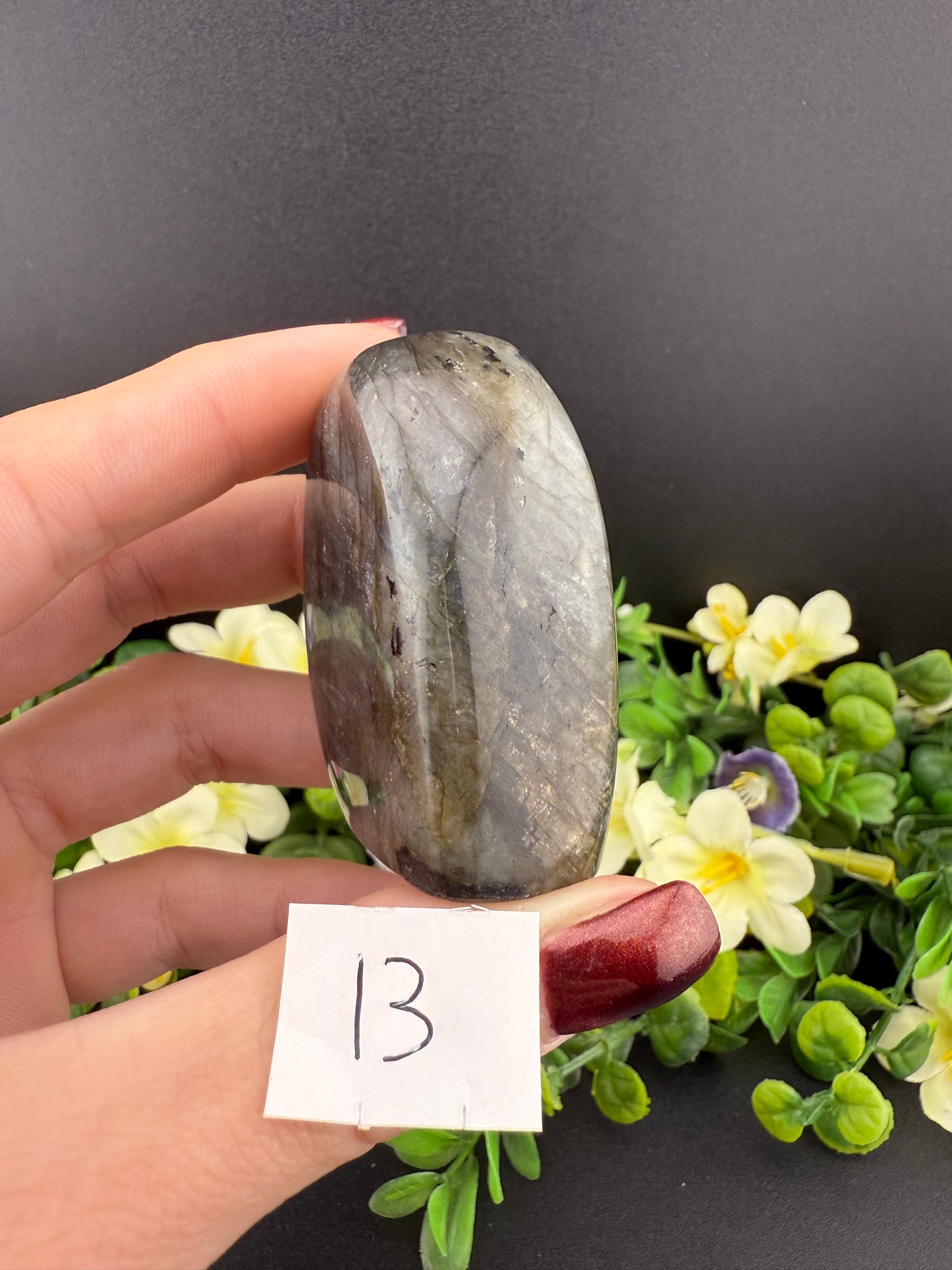 Small Labradorite Freeforms