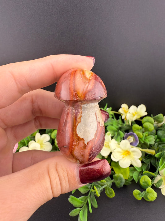 Polychrome Jasper Mushroom