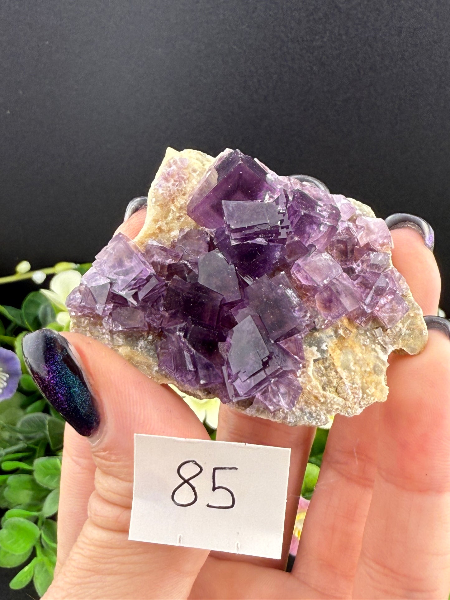 High Quality Purple “Window” Fluorites