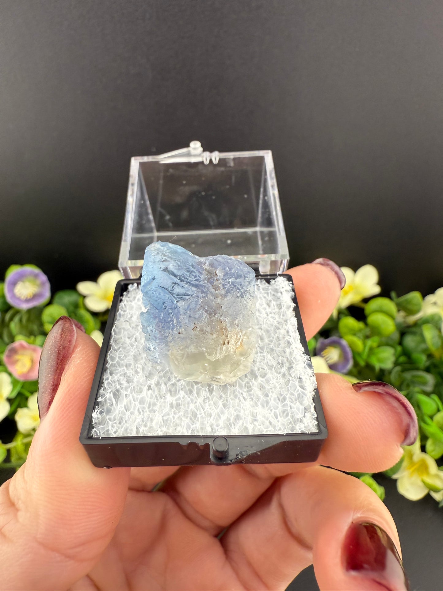 “Panama” Fluorites {Intuitively Chosen}
