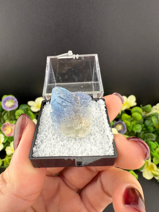 “Panama” Fluorites {Intuitively Chosen}