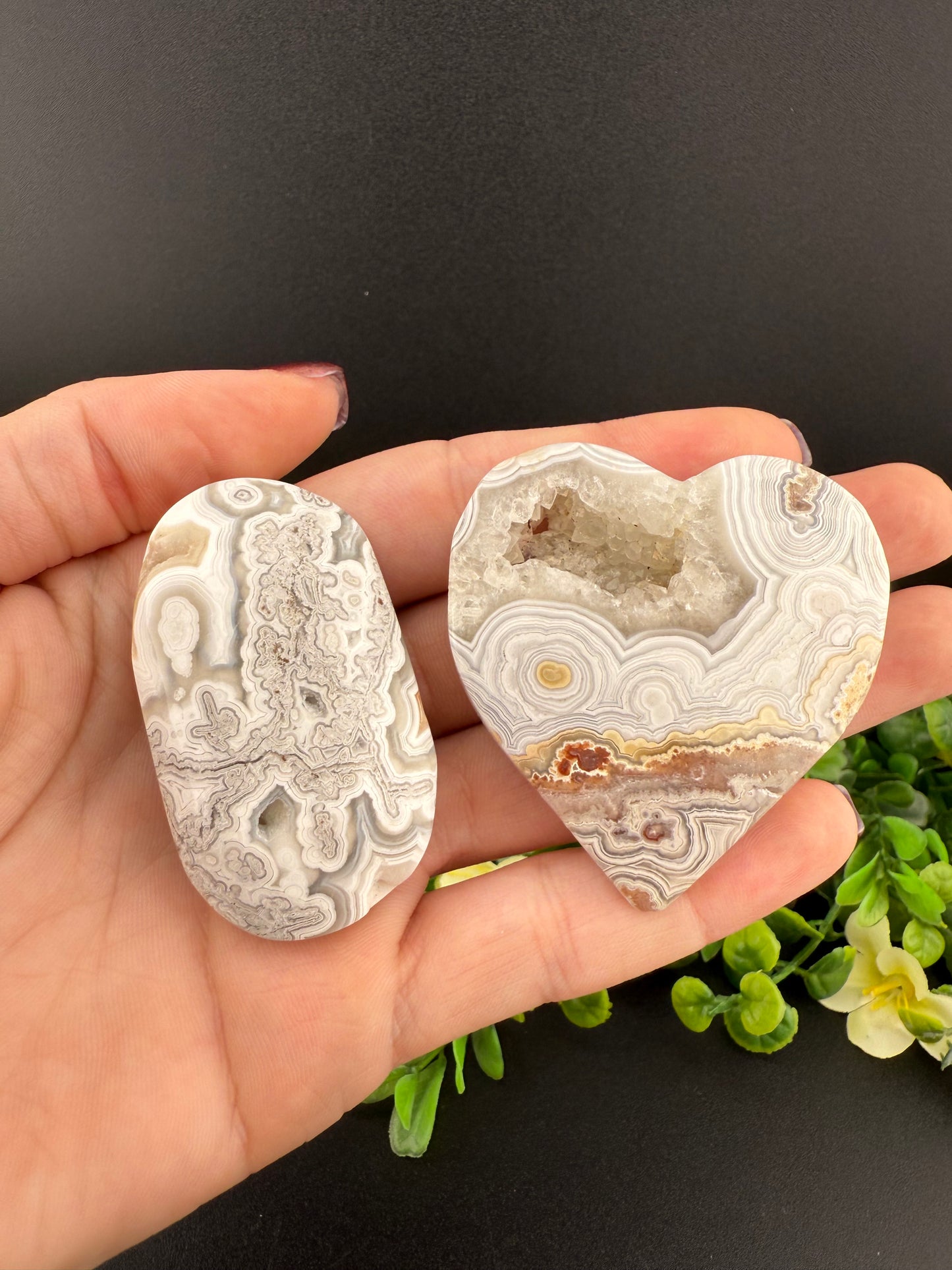 Mexican Crazy Lace Agate Bundle #1