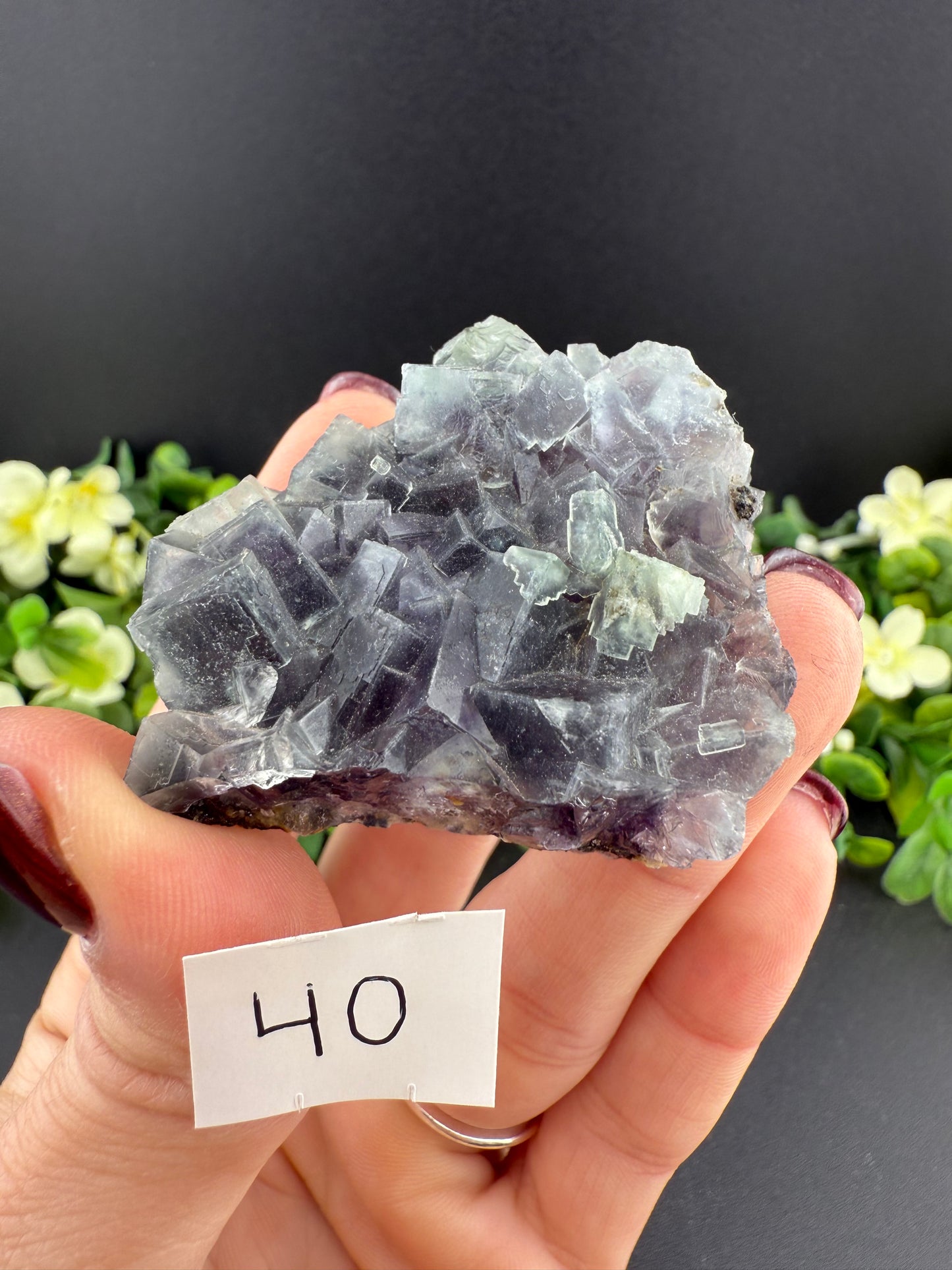 Yindu Fluorites