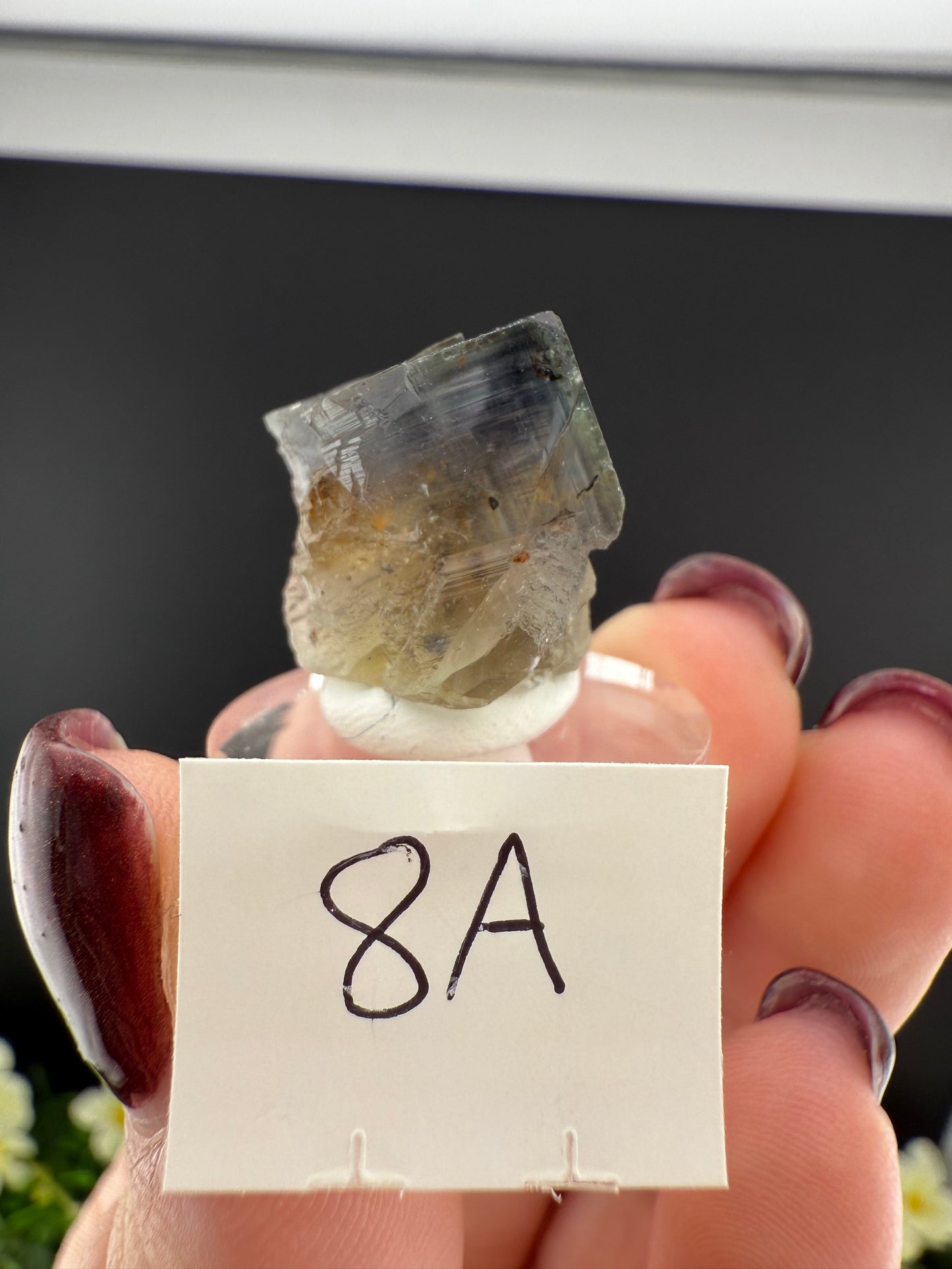 Rogerley Fluorites (Mixed Pockets)