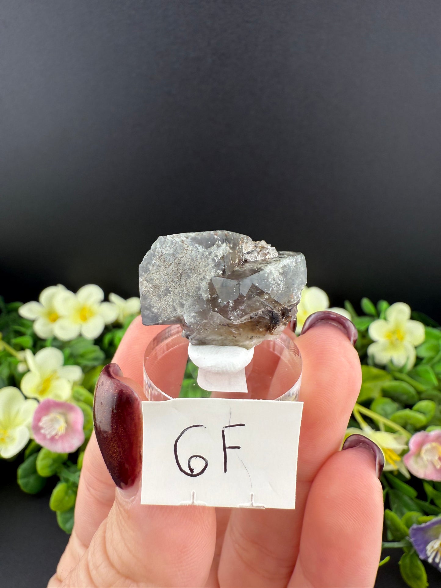 Rogerley Fluorites (Mixed Pockets)