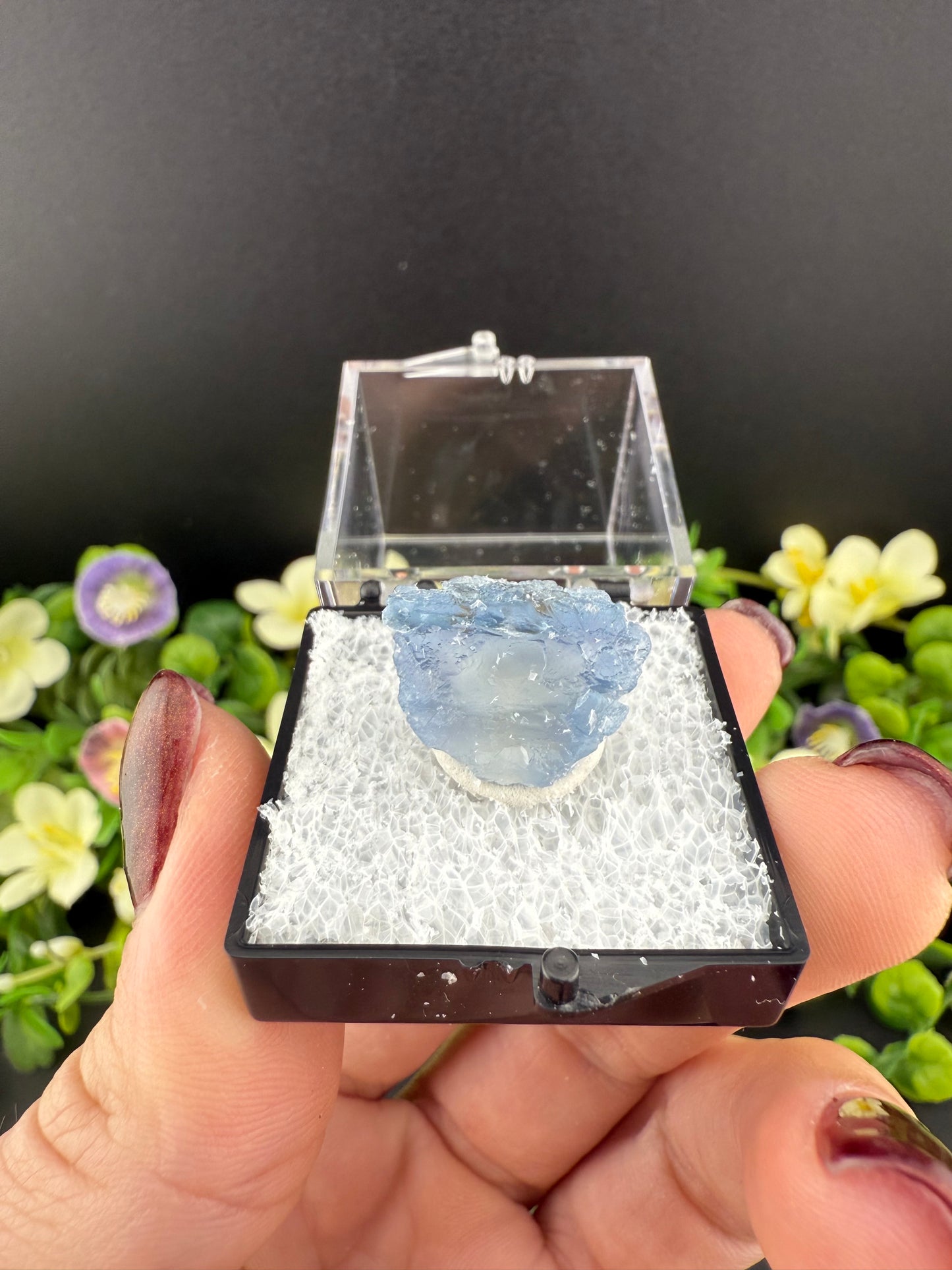 “Panama” Fluorites {Intuitively Chosen}
