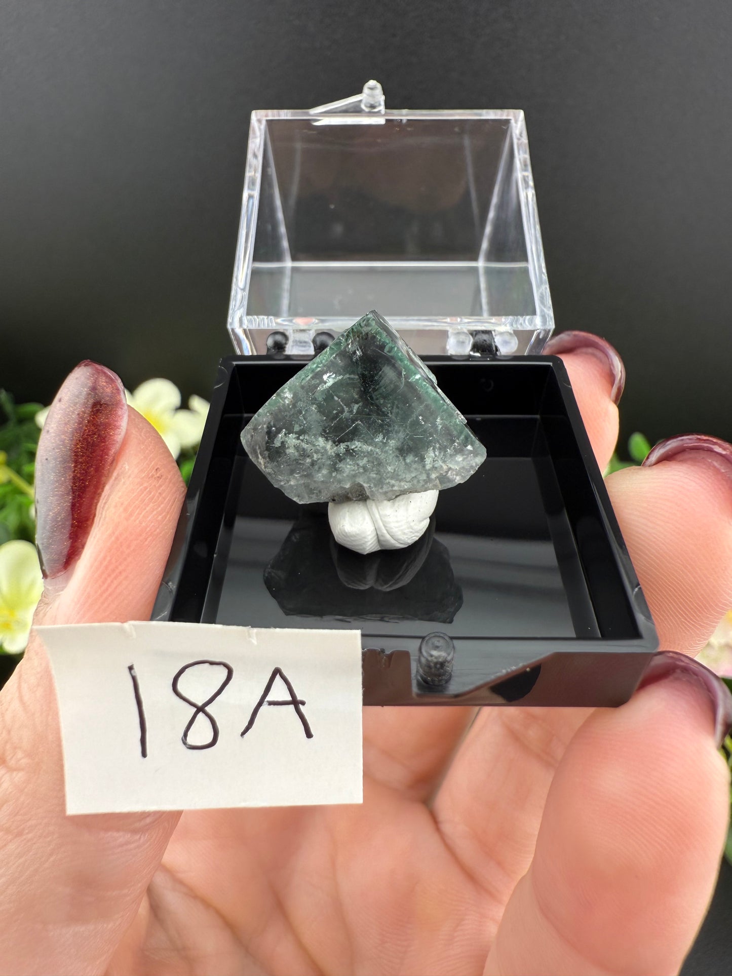Milky Way Fluorites