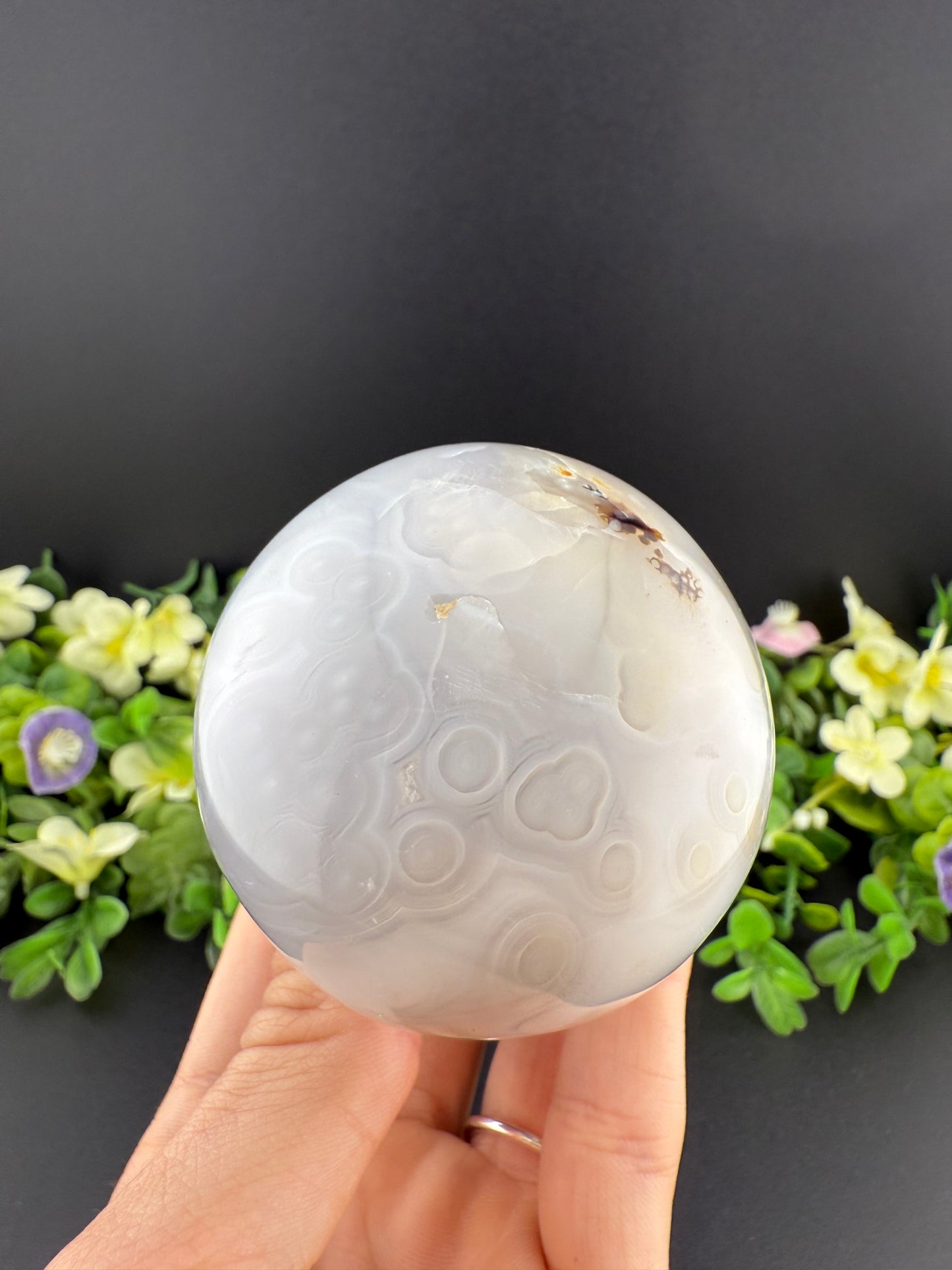 Large Agate Mushroom