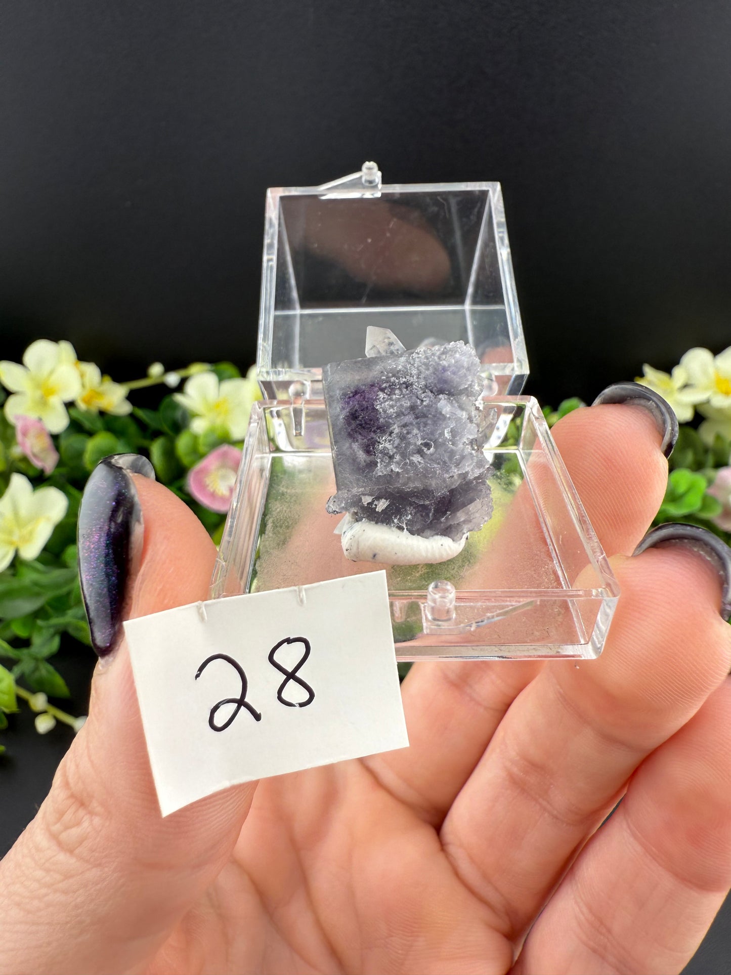 YGX Fluorites (Lot 1)