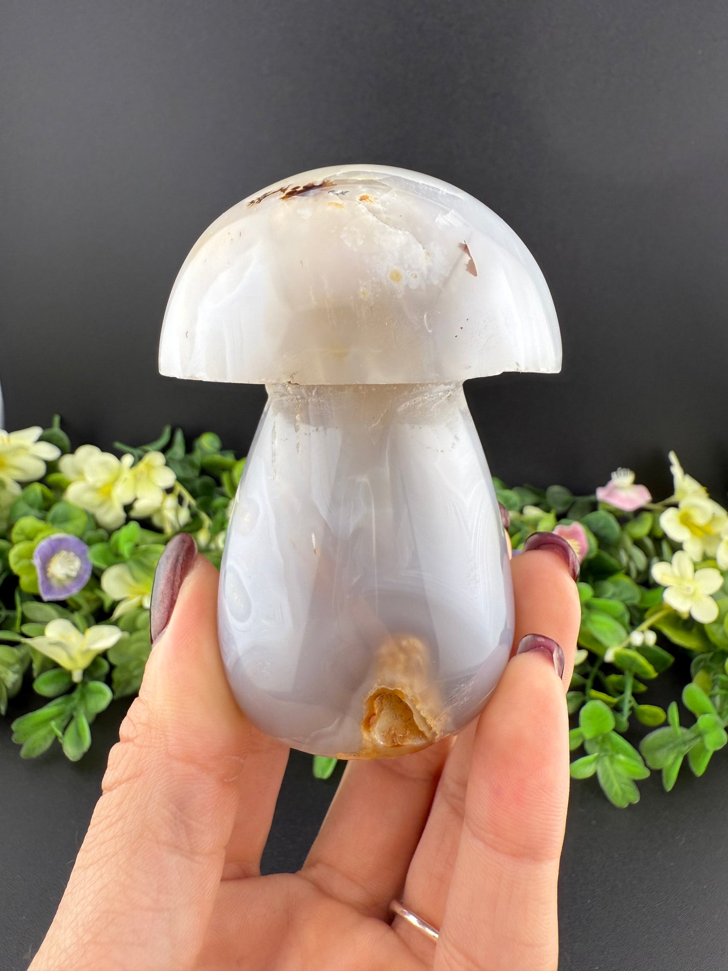 Large Agate Mushroom