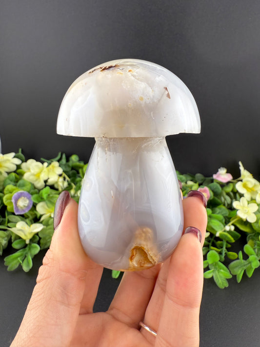 Large Agate Mushroom