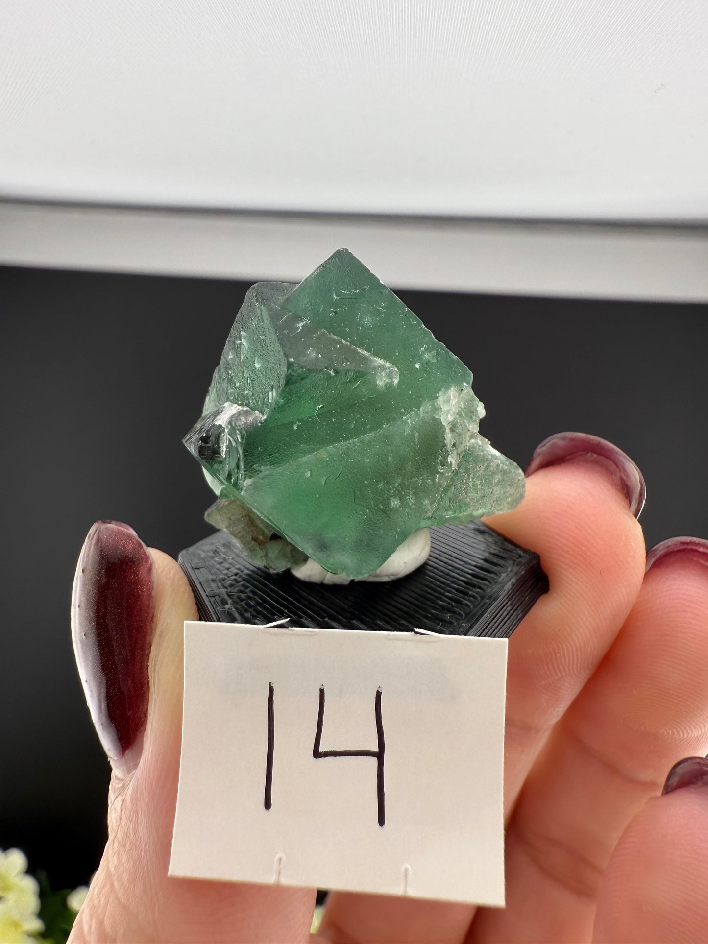 Rogerley Fluorites (Mixed Pockets)