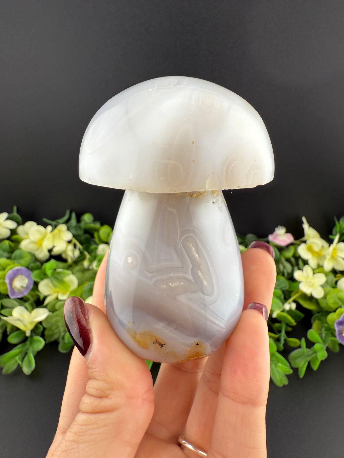 Large Agate Mushroom