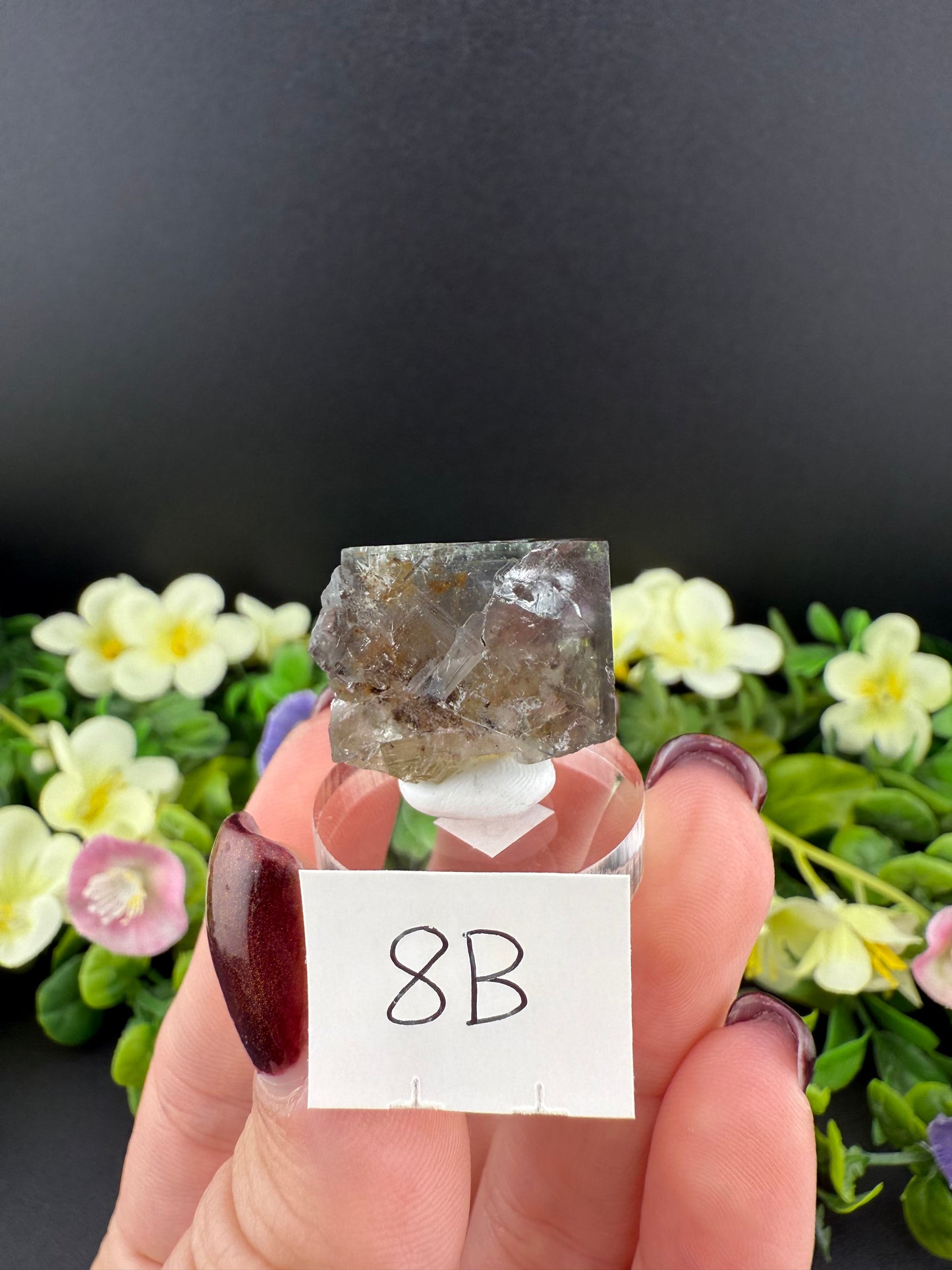 Rogerley Fluorites (Mixed Pockets)