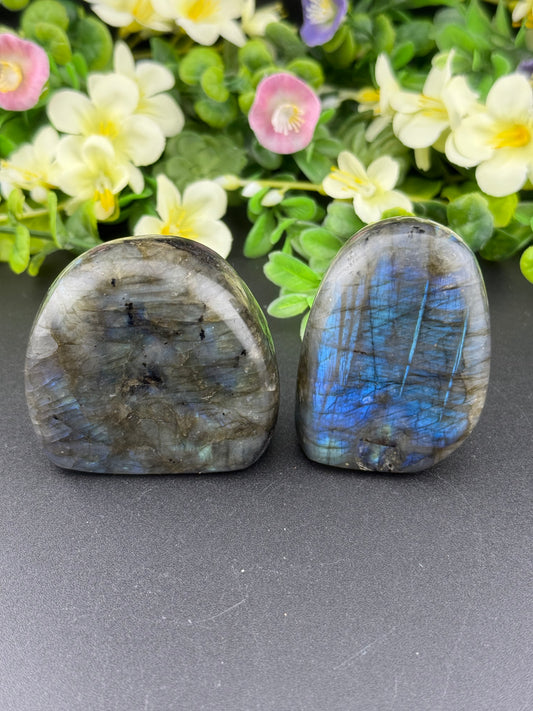 Small Labradorite Freeforms