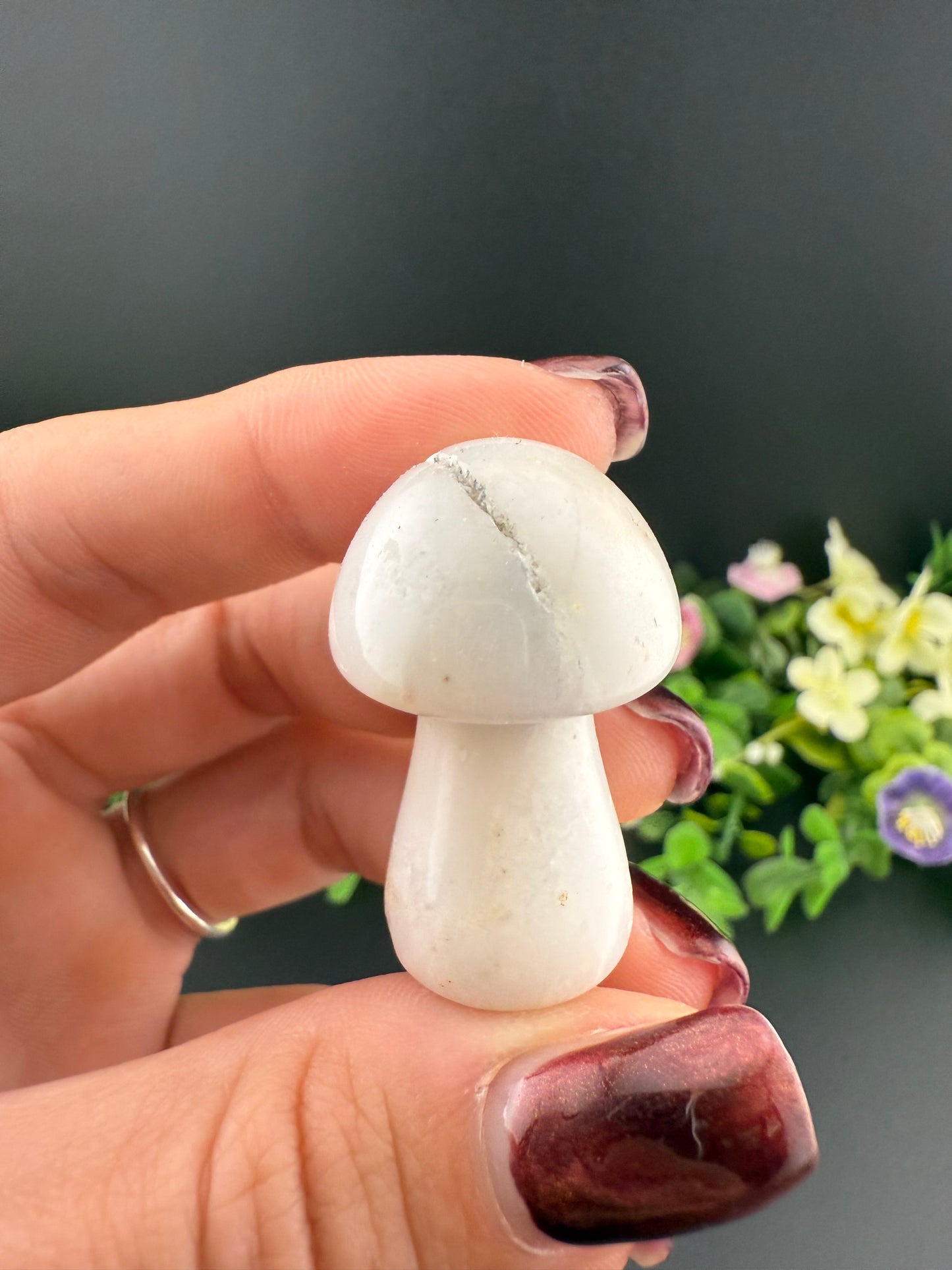 Small Mushrooms