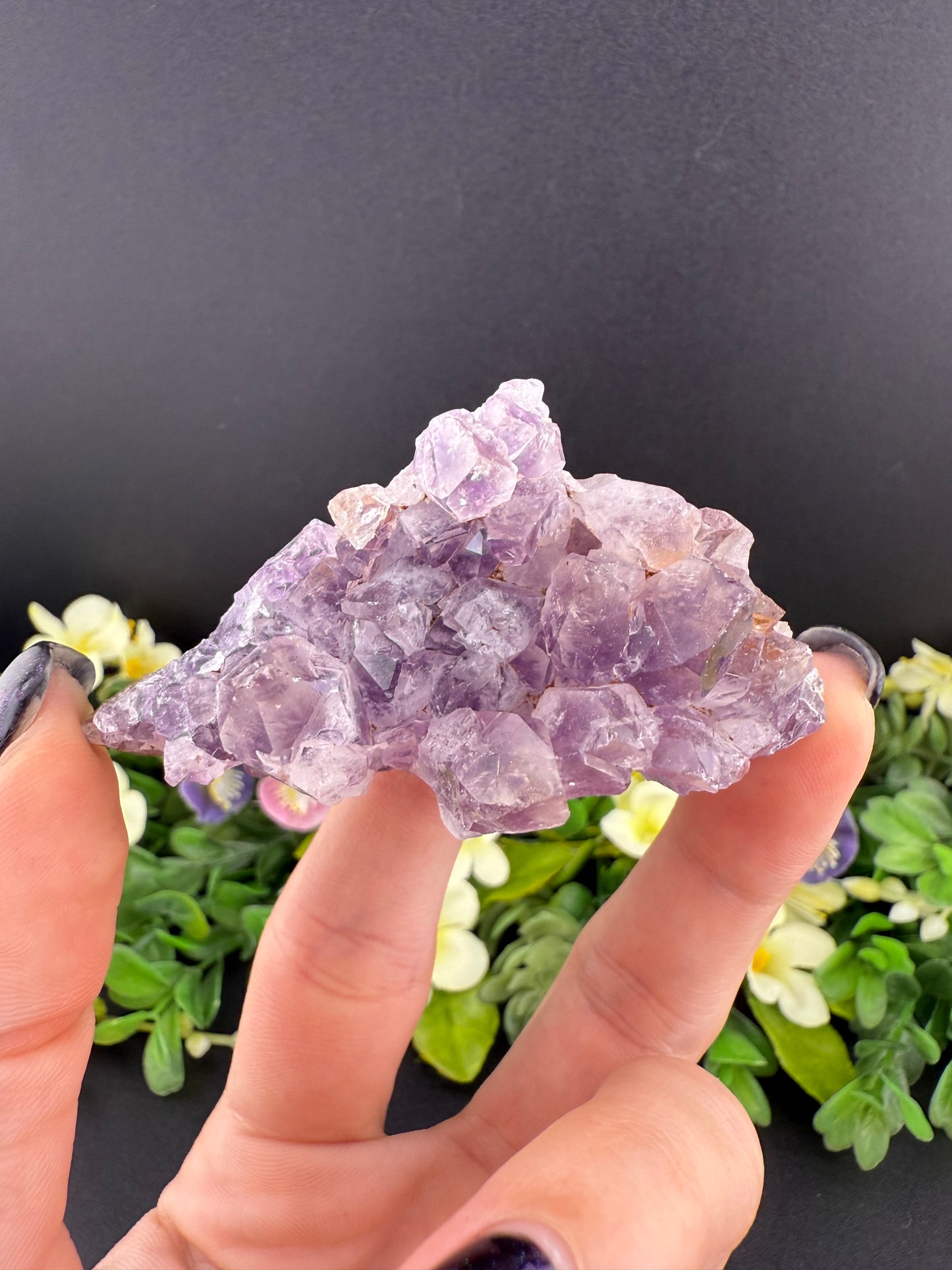 Amethyst Cluster Geode
