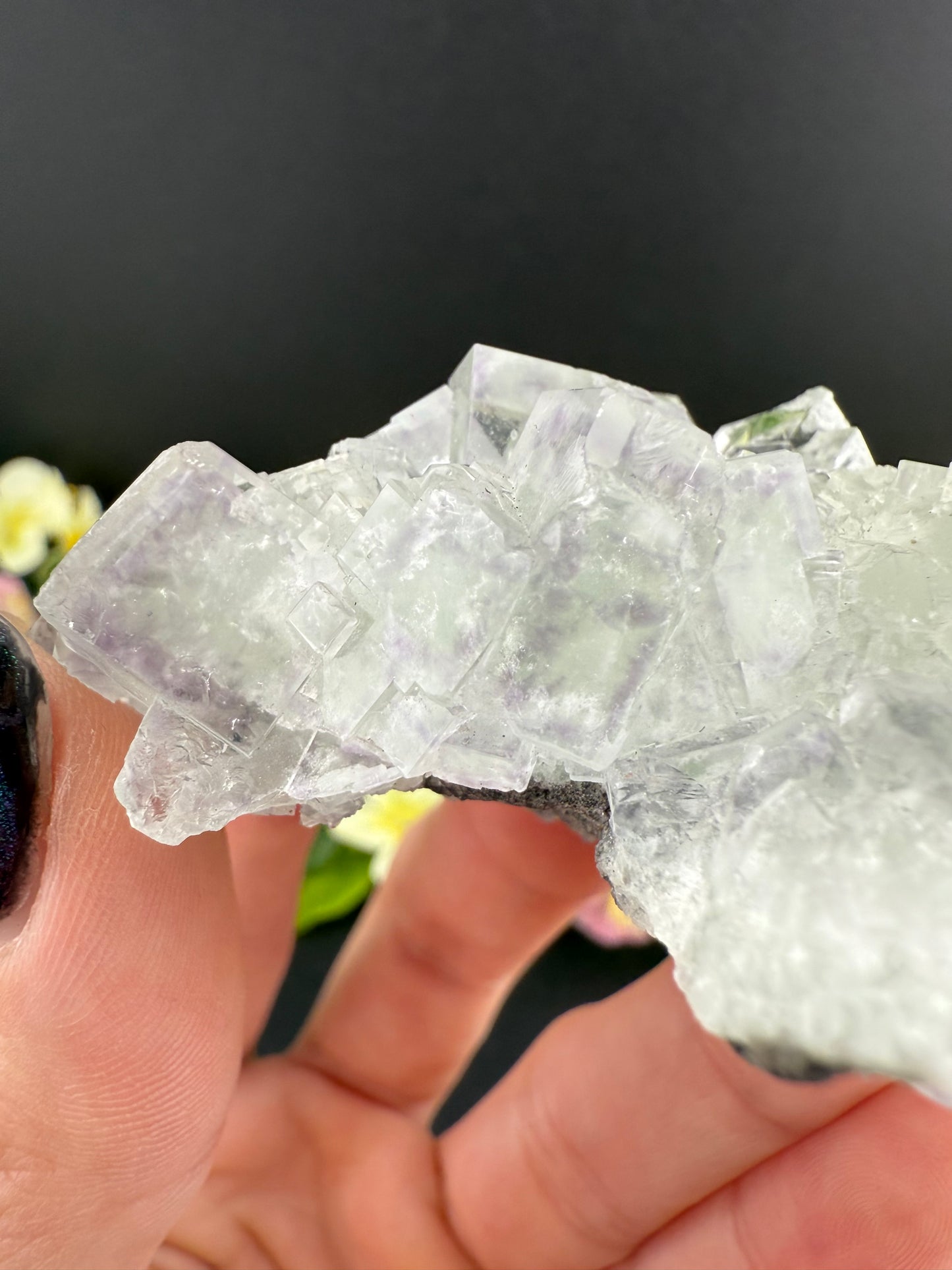 XHL Fluorite with Purple Phantoms
