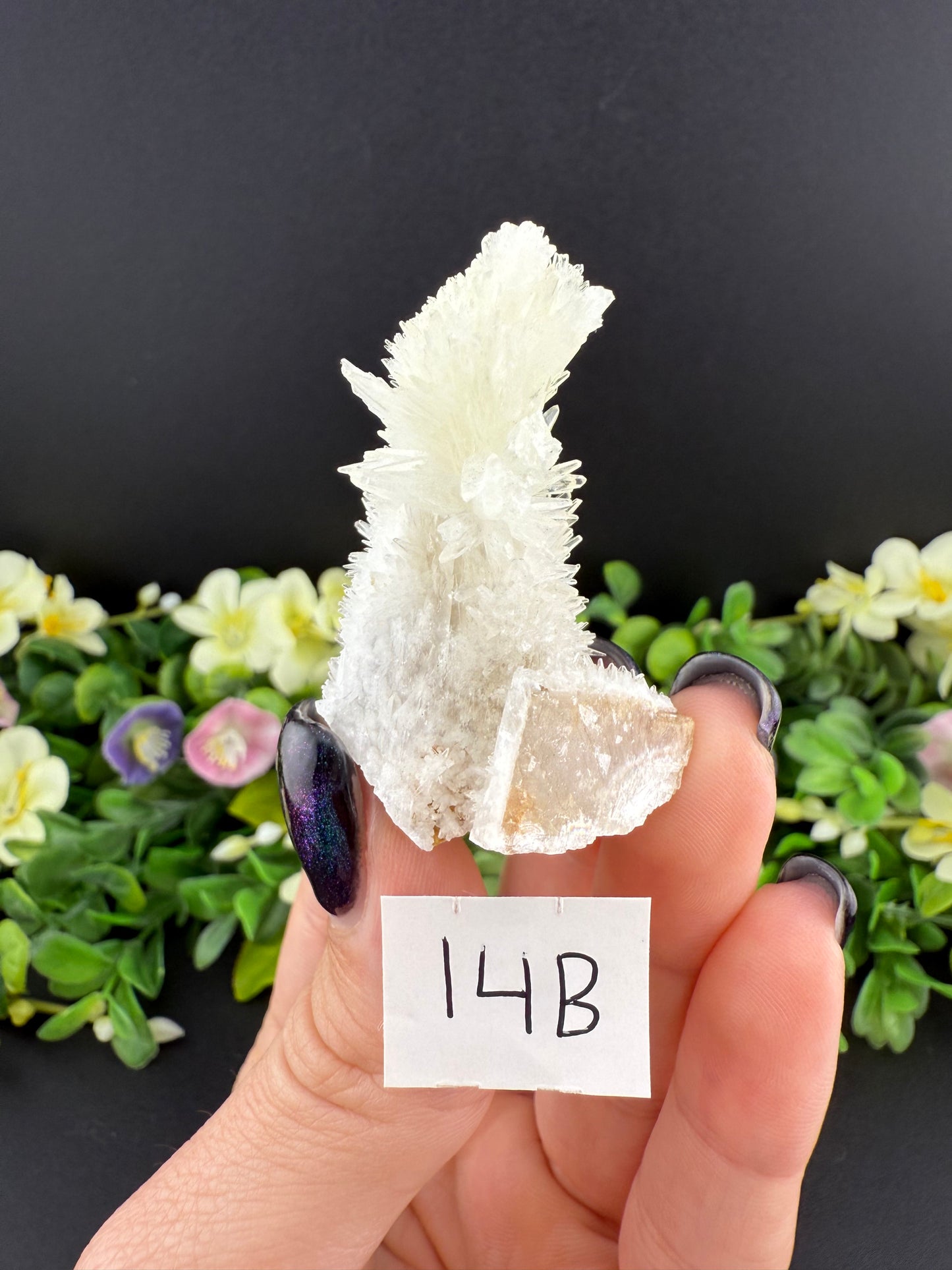 Yellow Aragonite