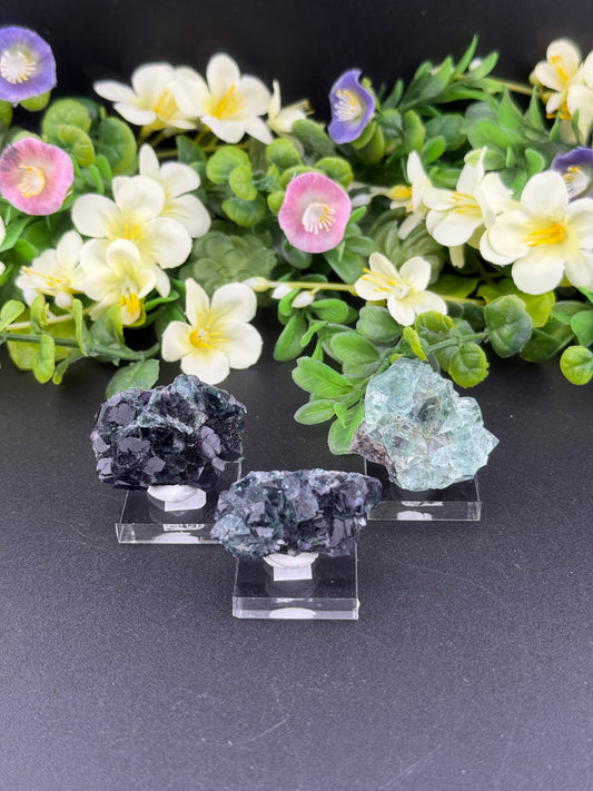 Small Okorusu Fluorite Clusters