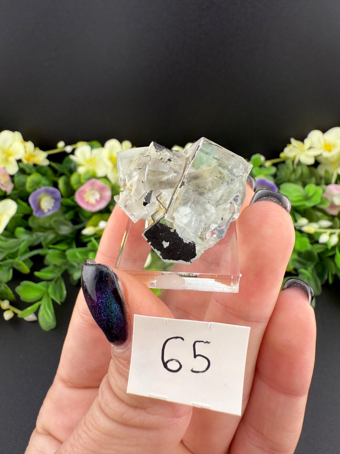 YGX Fluorites (Lot 2)