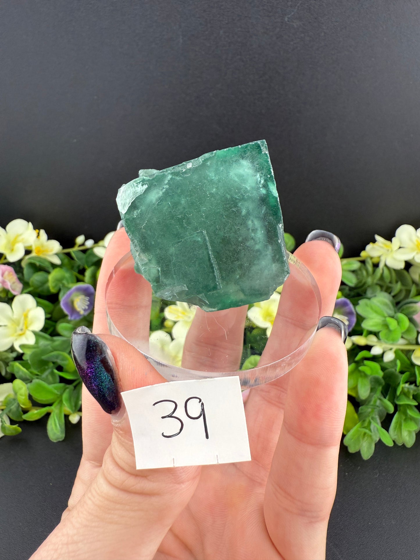 Daylight Fluorite Floaters on Stands