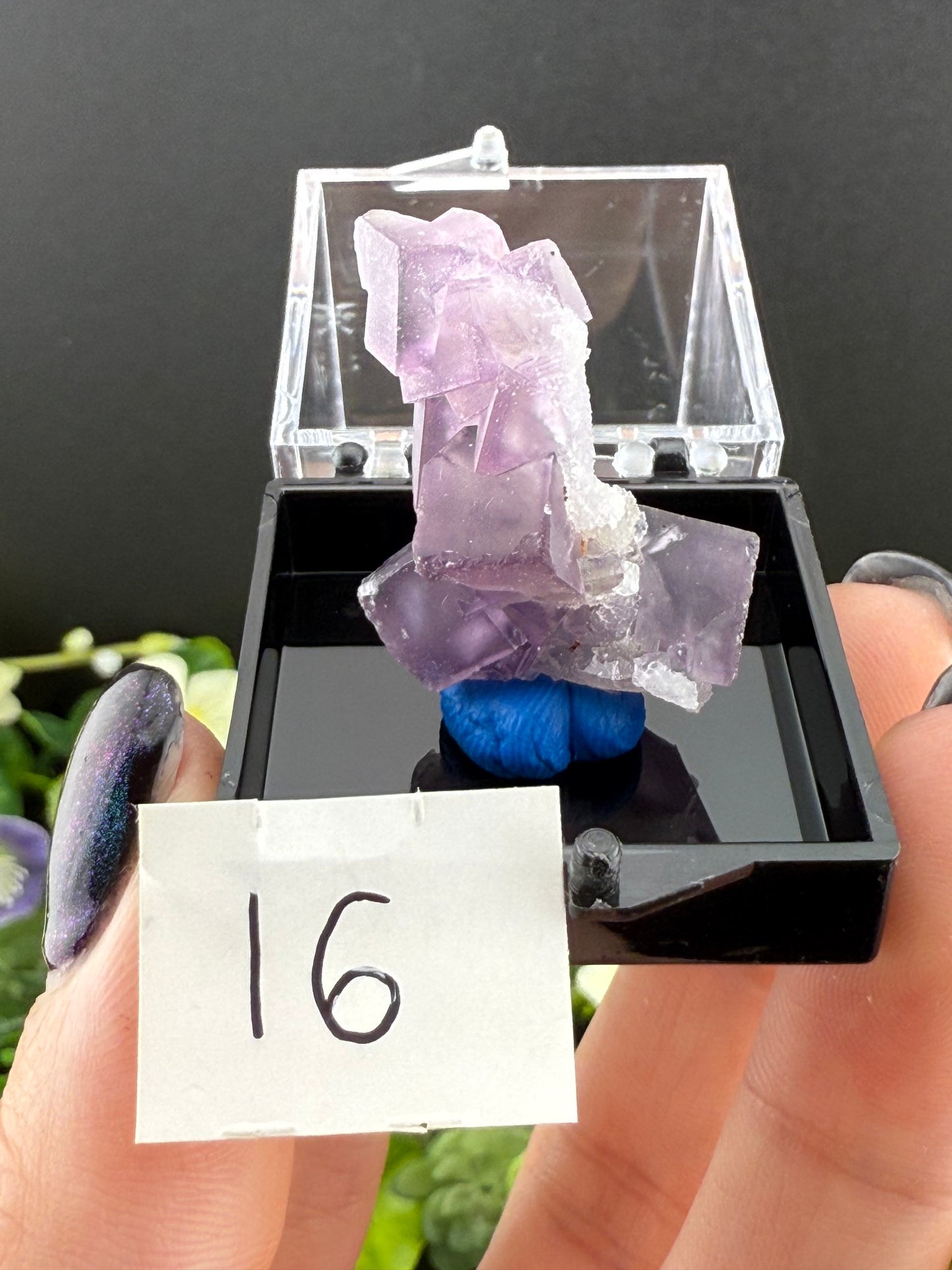 High Quality Purple “Window” Fluorites