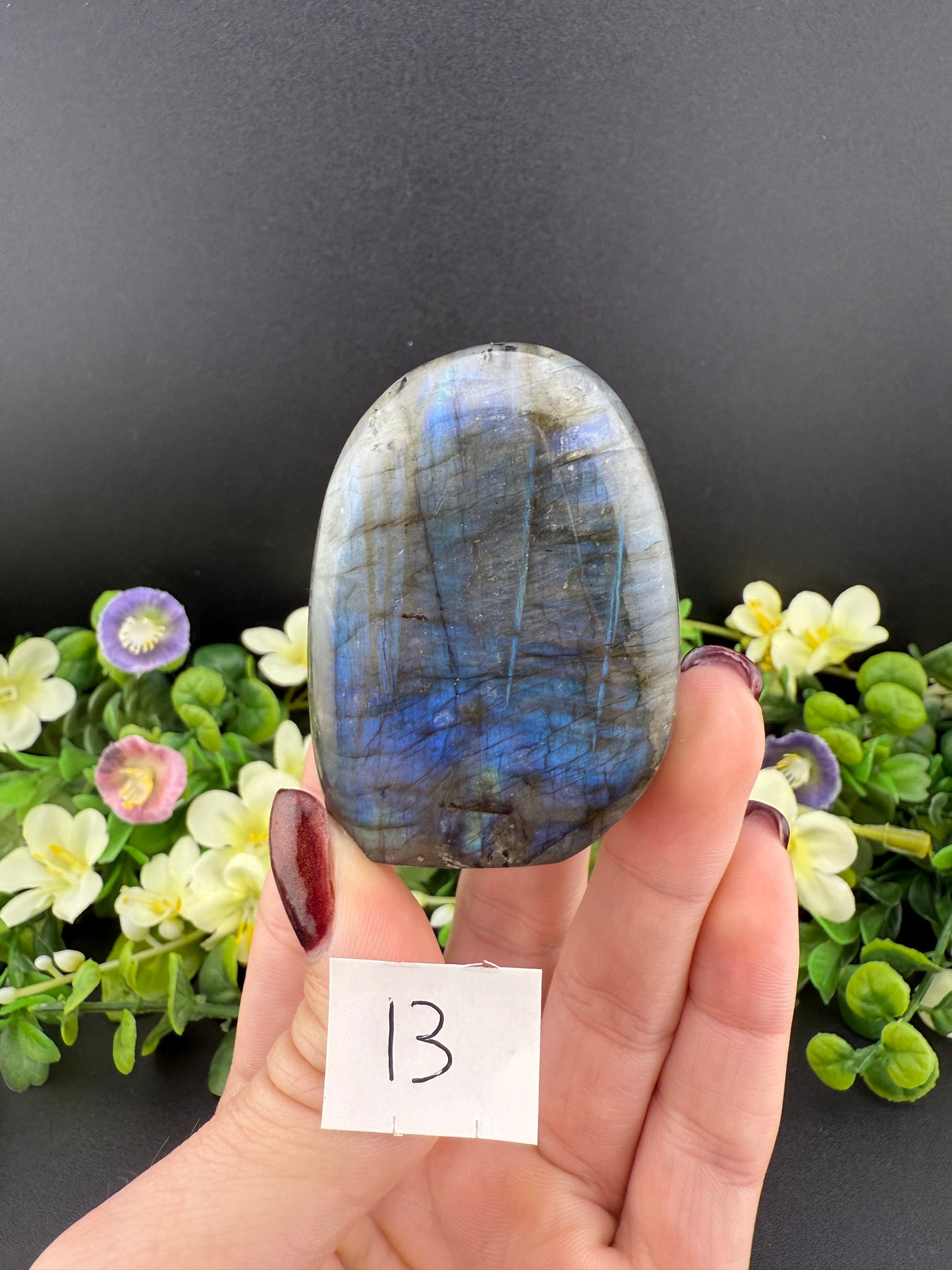 Small Labradorite Freeforms