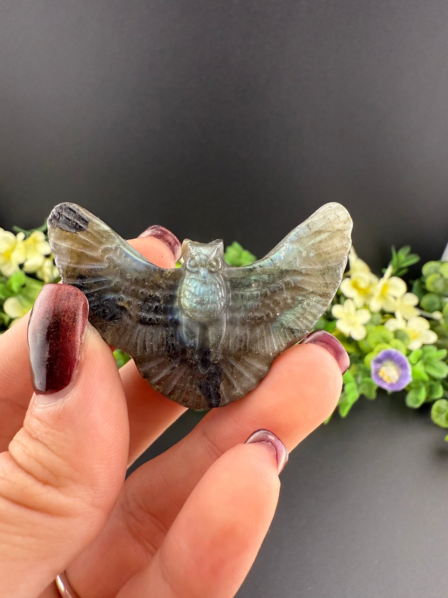 Small Labradorite Flying Owl Carving