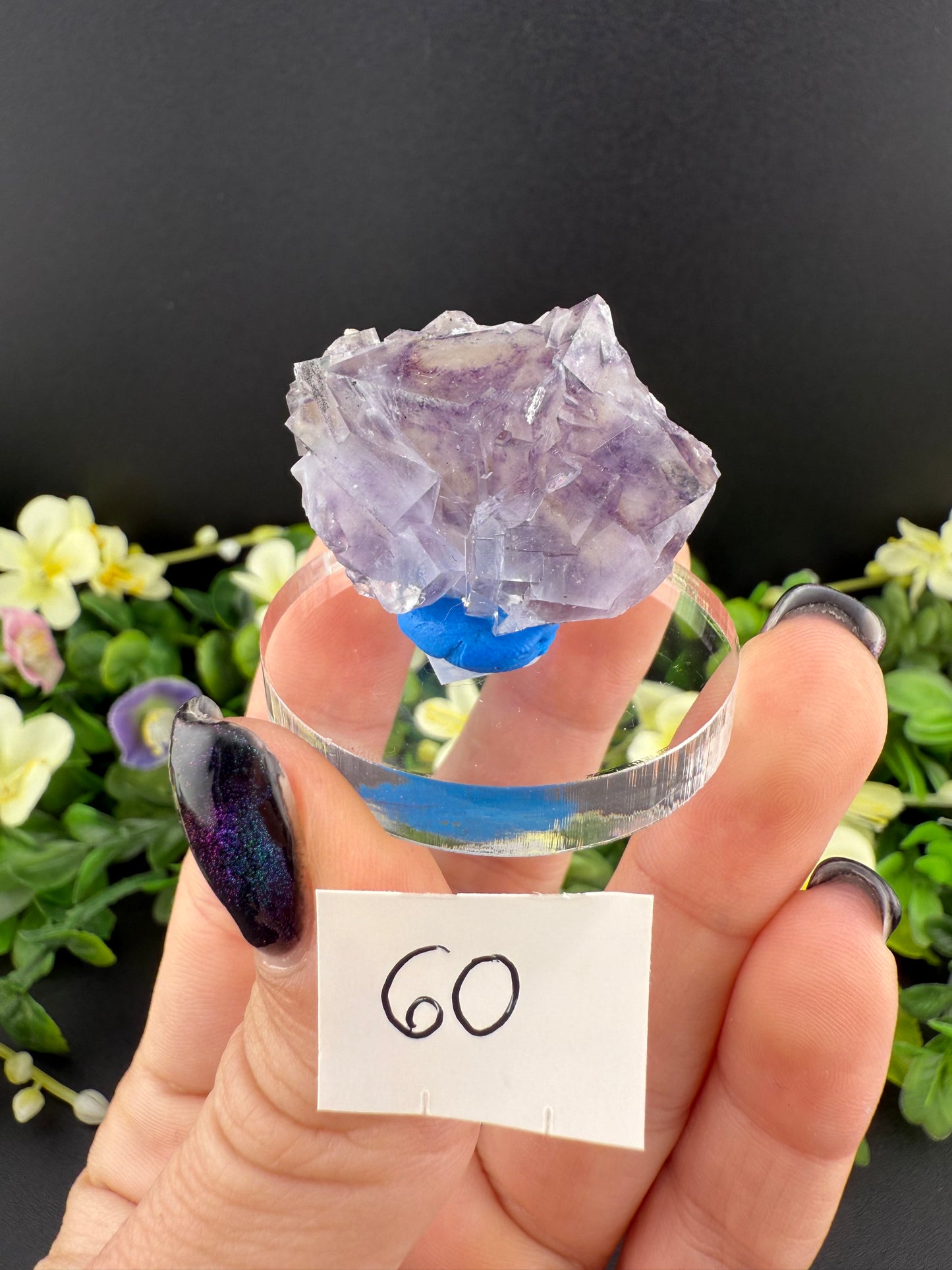 YGX Fluorites (Lot 1)