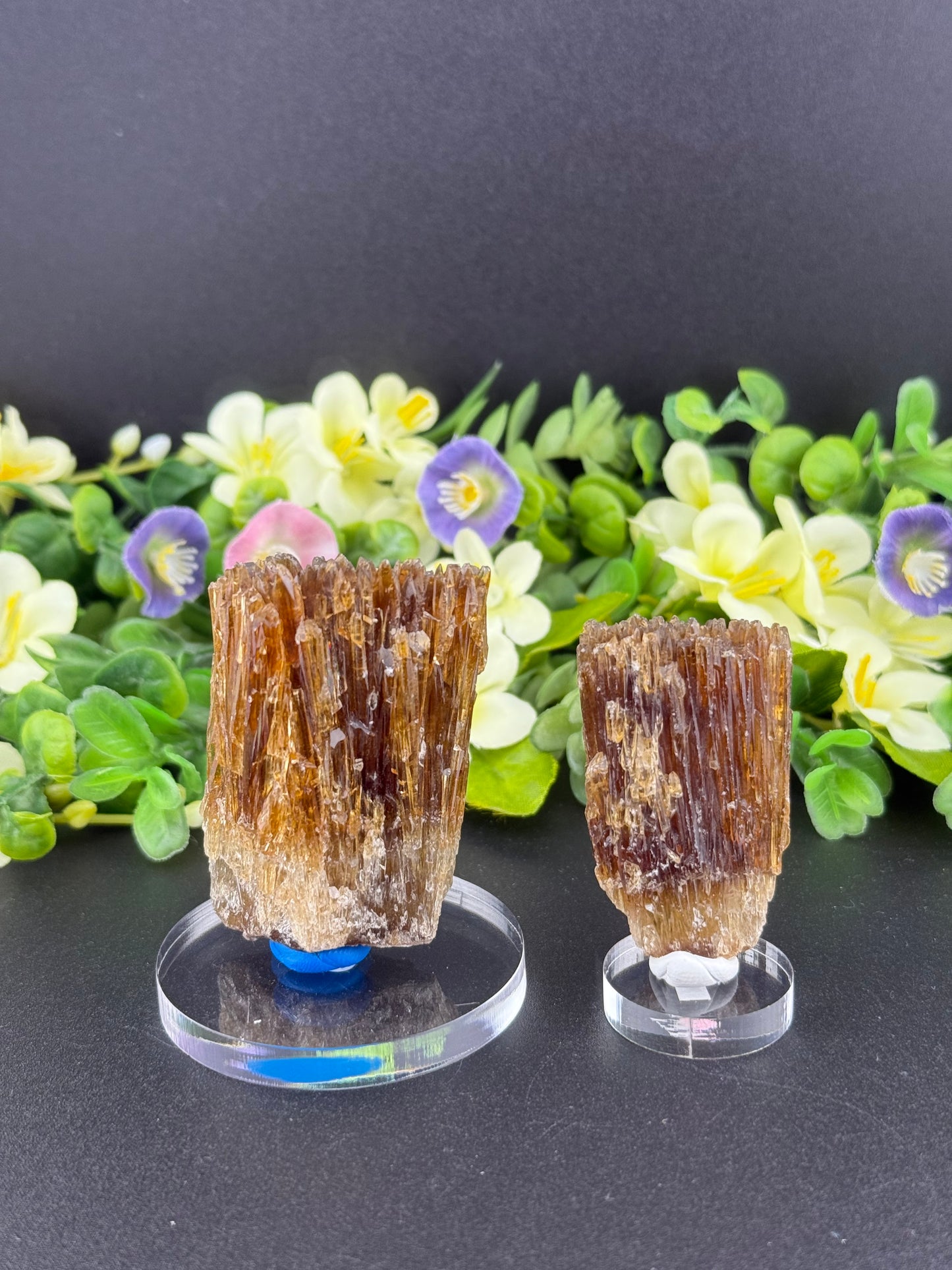 Amber Calcites