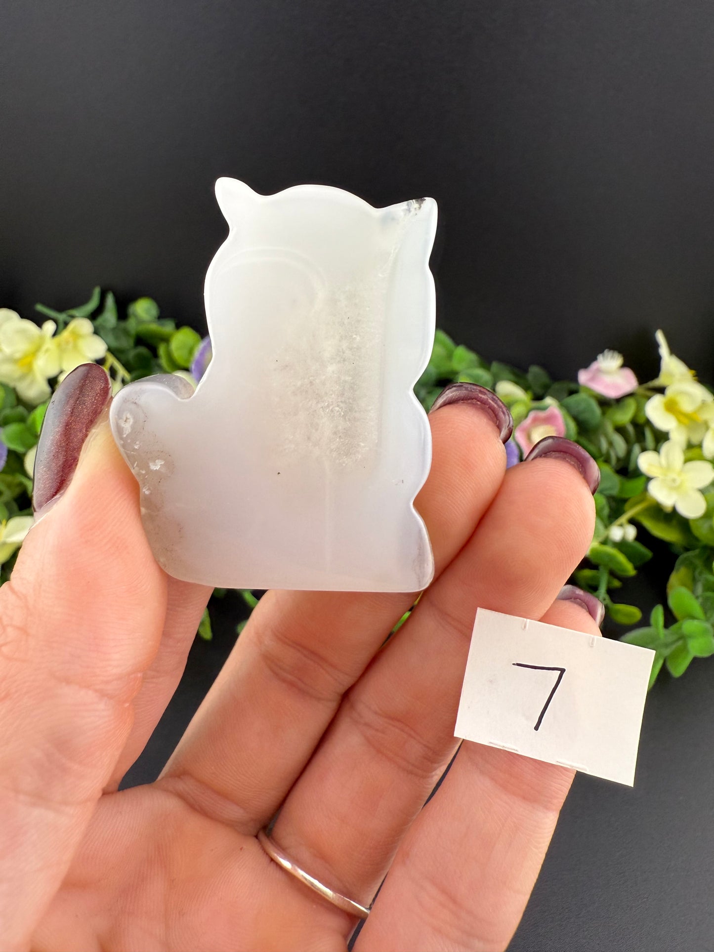 Agate Cat Slices