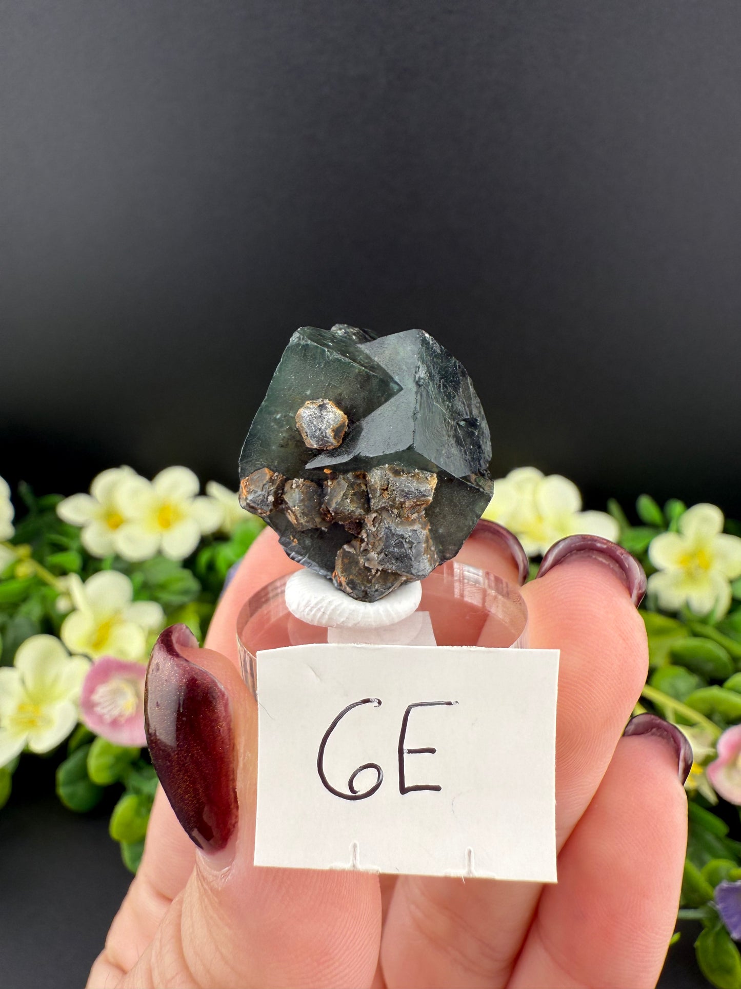 Rogerley Fluorites (Mixed Pockets)