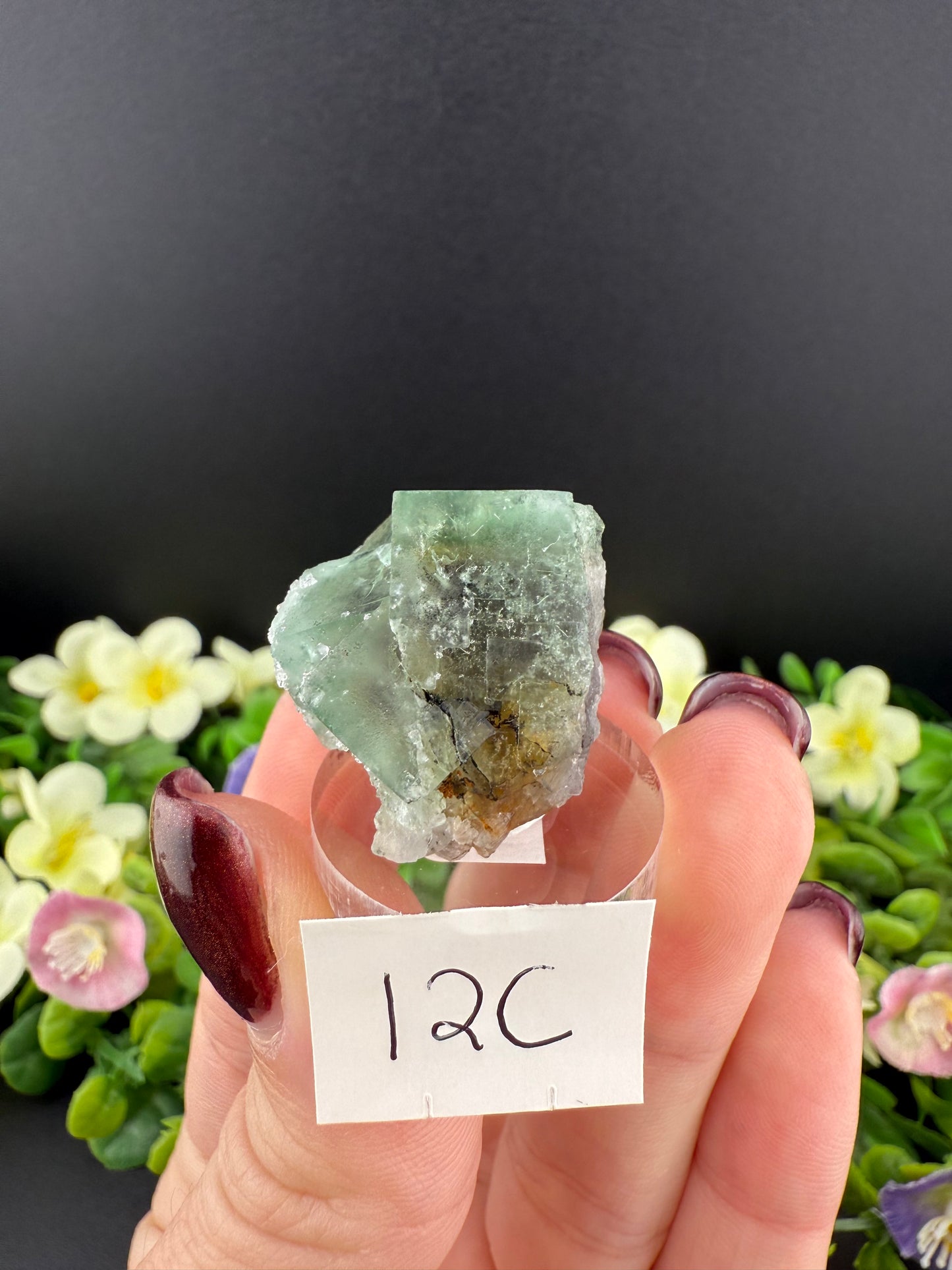 Rogerley Fluorites (Mixed Pockets)