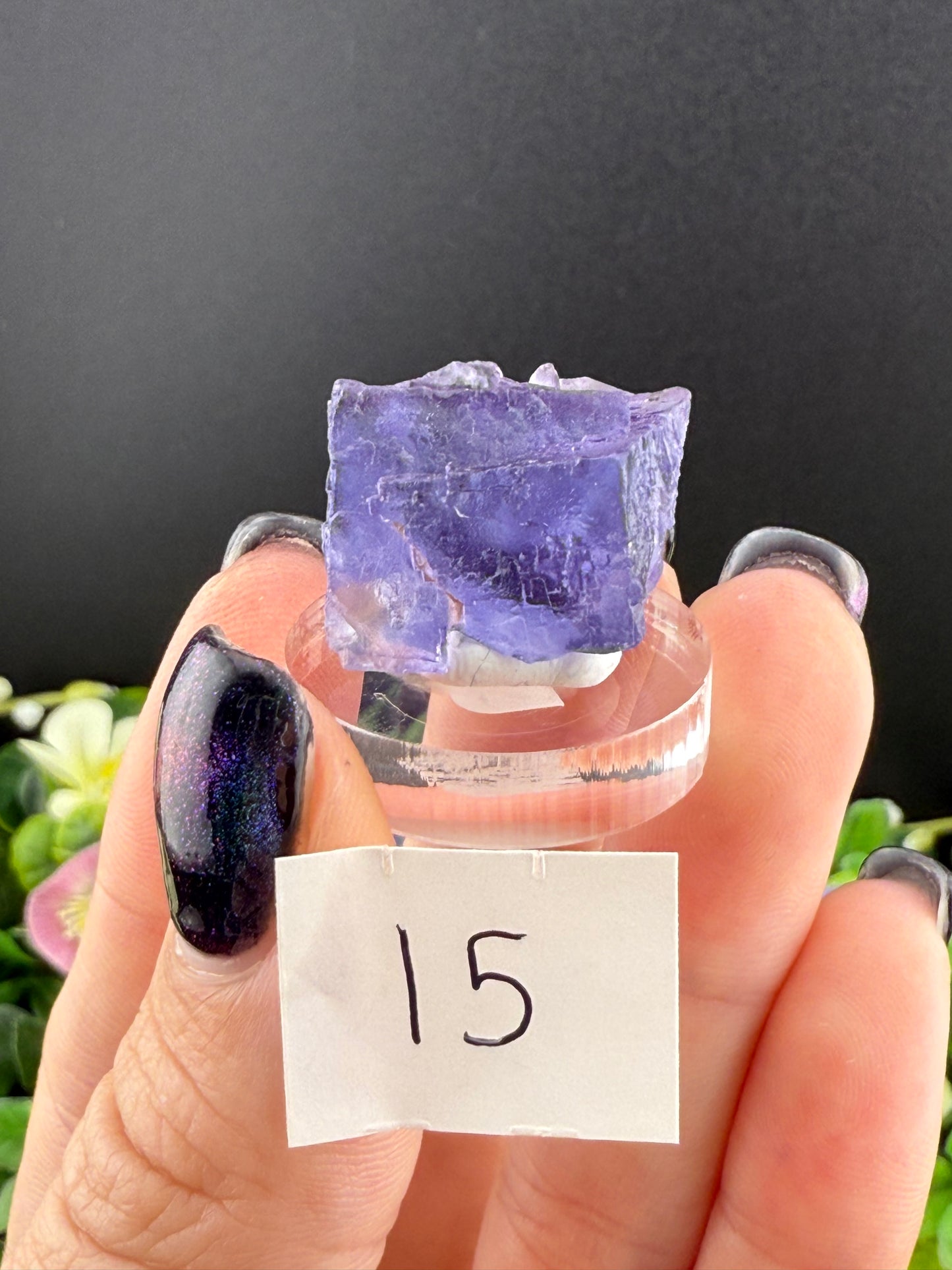 Blue Petroleum Fluorites