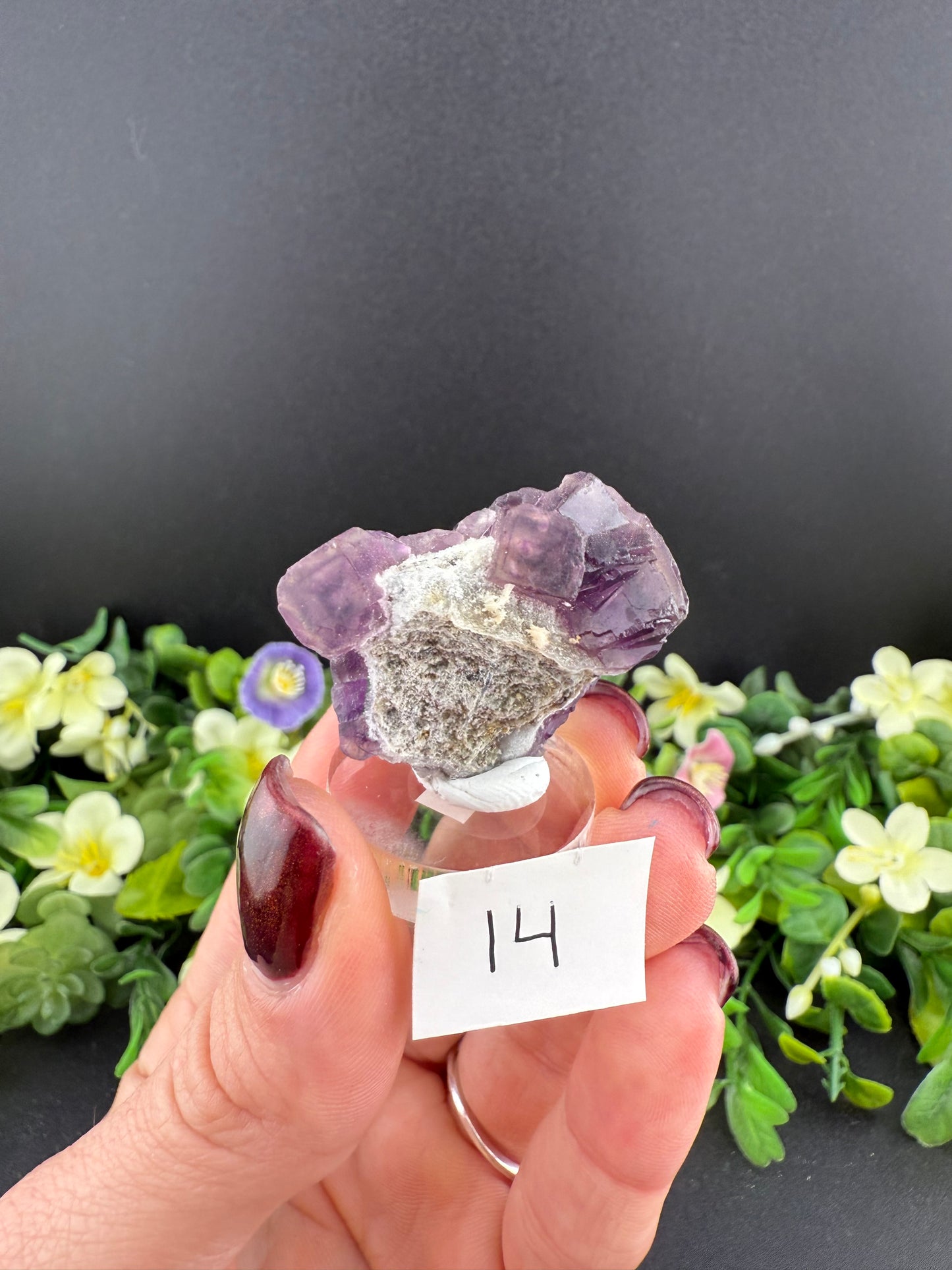 Purple “Window” Fluorites