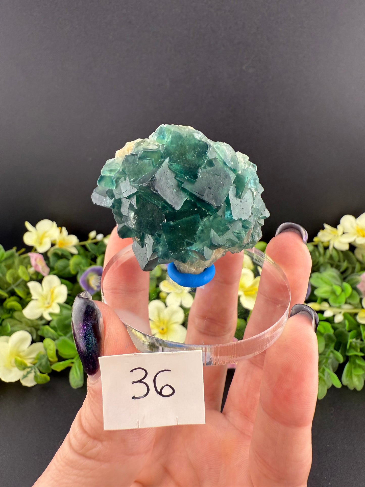 Daylight Fluorite Floaters on Stands