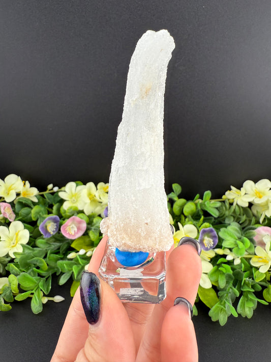 Ram’s Horn Selenite