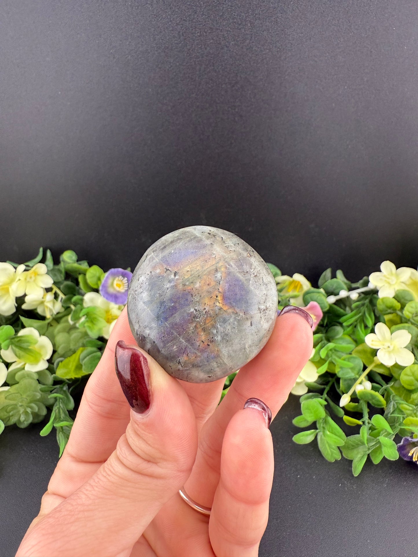 Labradorite Cookie Palmstone