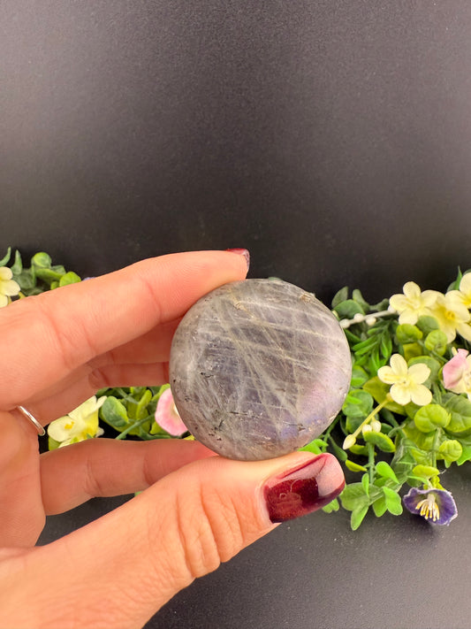 Labradorite Cookie Palmstone