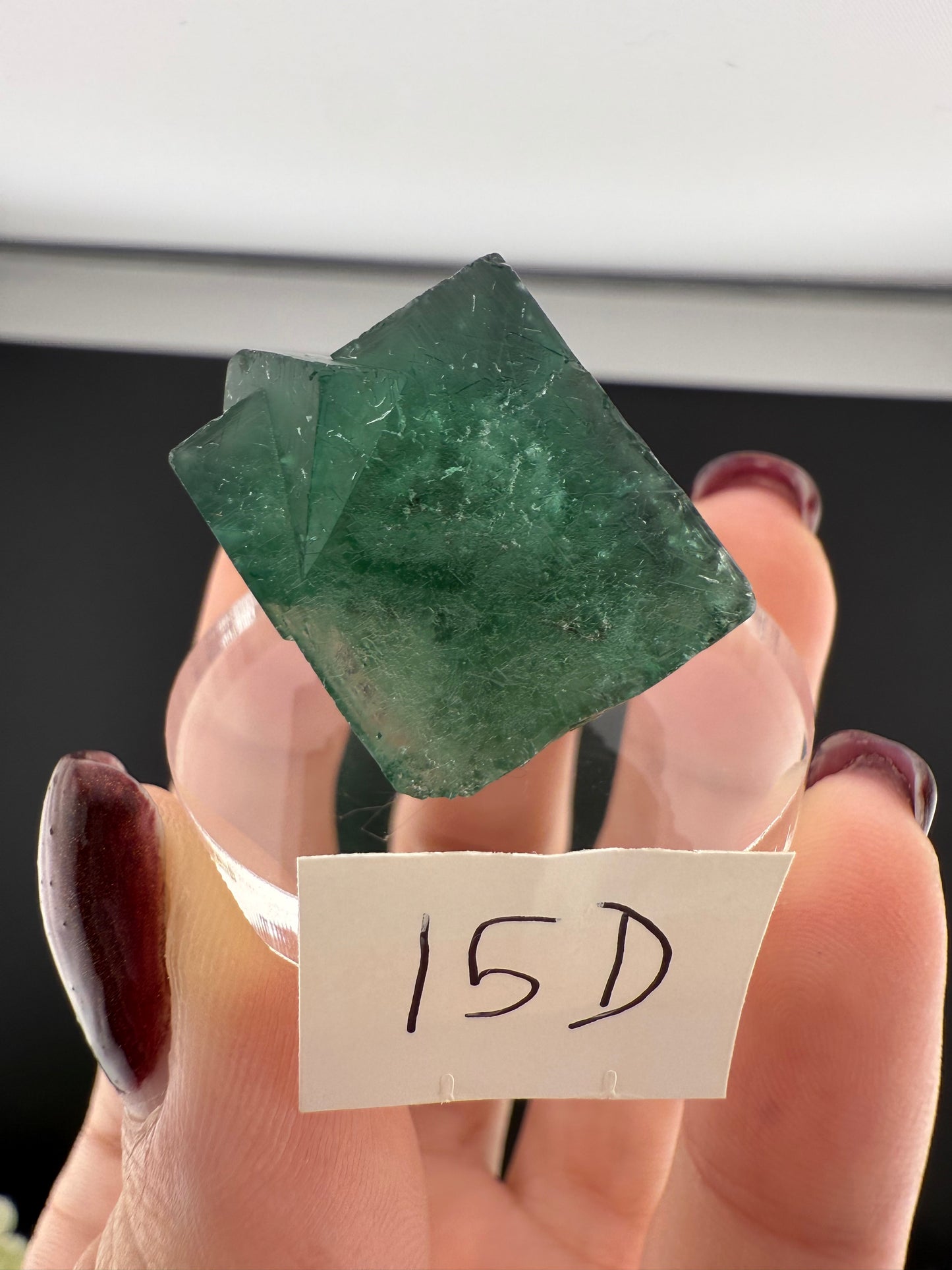 Rogerley Fluorites (Mixed Pockets)