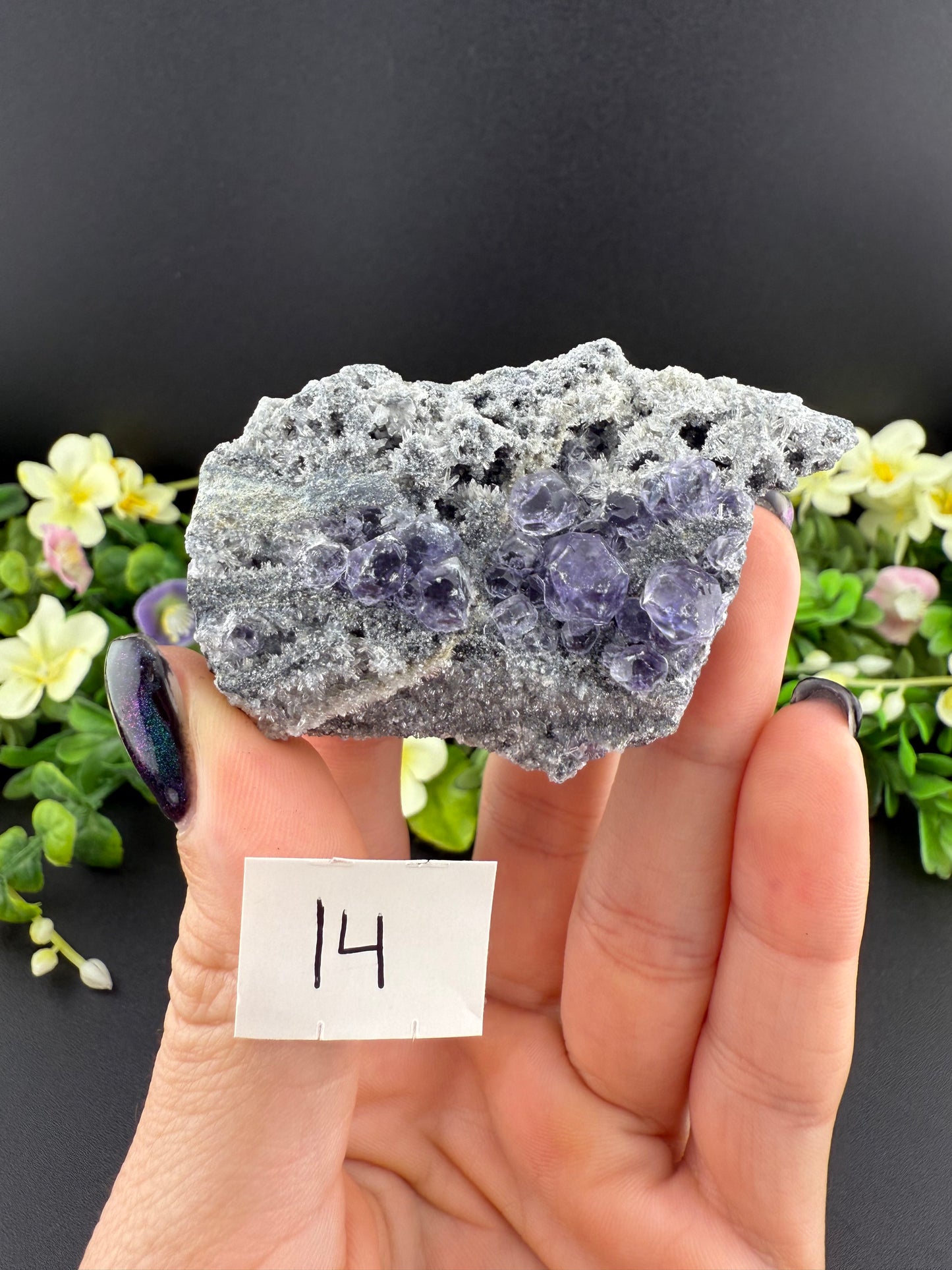 Tanzanite Fluorites