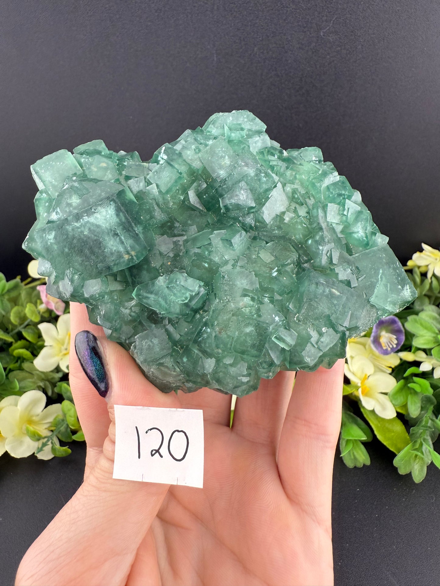 Daylight Fluorite Clusters